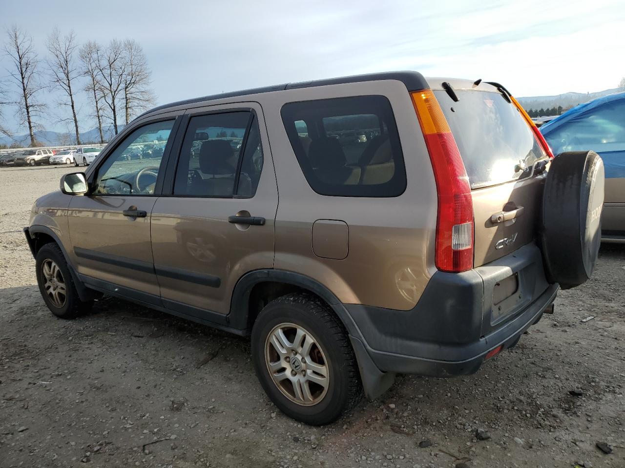 Photo 1 VIN: JHLRD78864C038564 - HONDA CR-V 