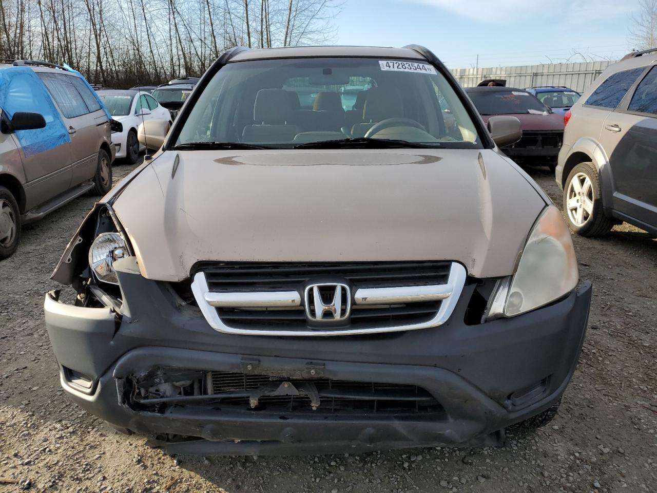 Photo 4 VIN: JHLRD78864C038564 - HONDA CR-V 