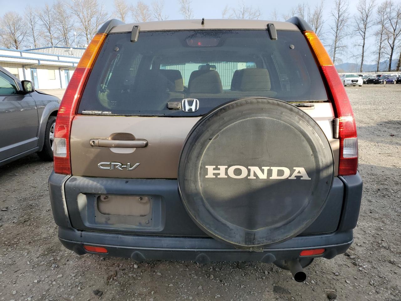 Photo 5 VIN: JHLRD78864C038564 - HONDA CR-V 