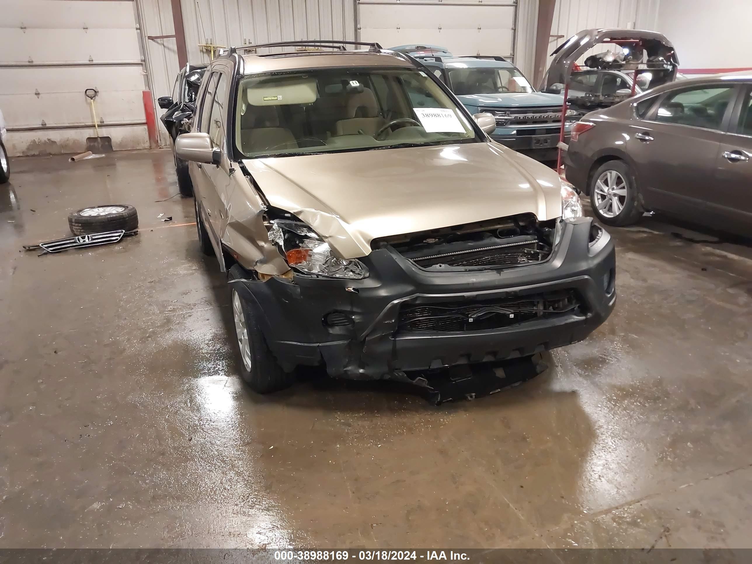 Photo 5 VIN: JHLRD78865C063689 - HONDA CR-V 