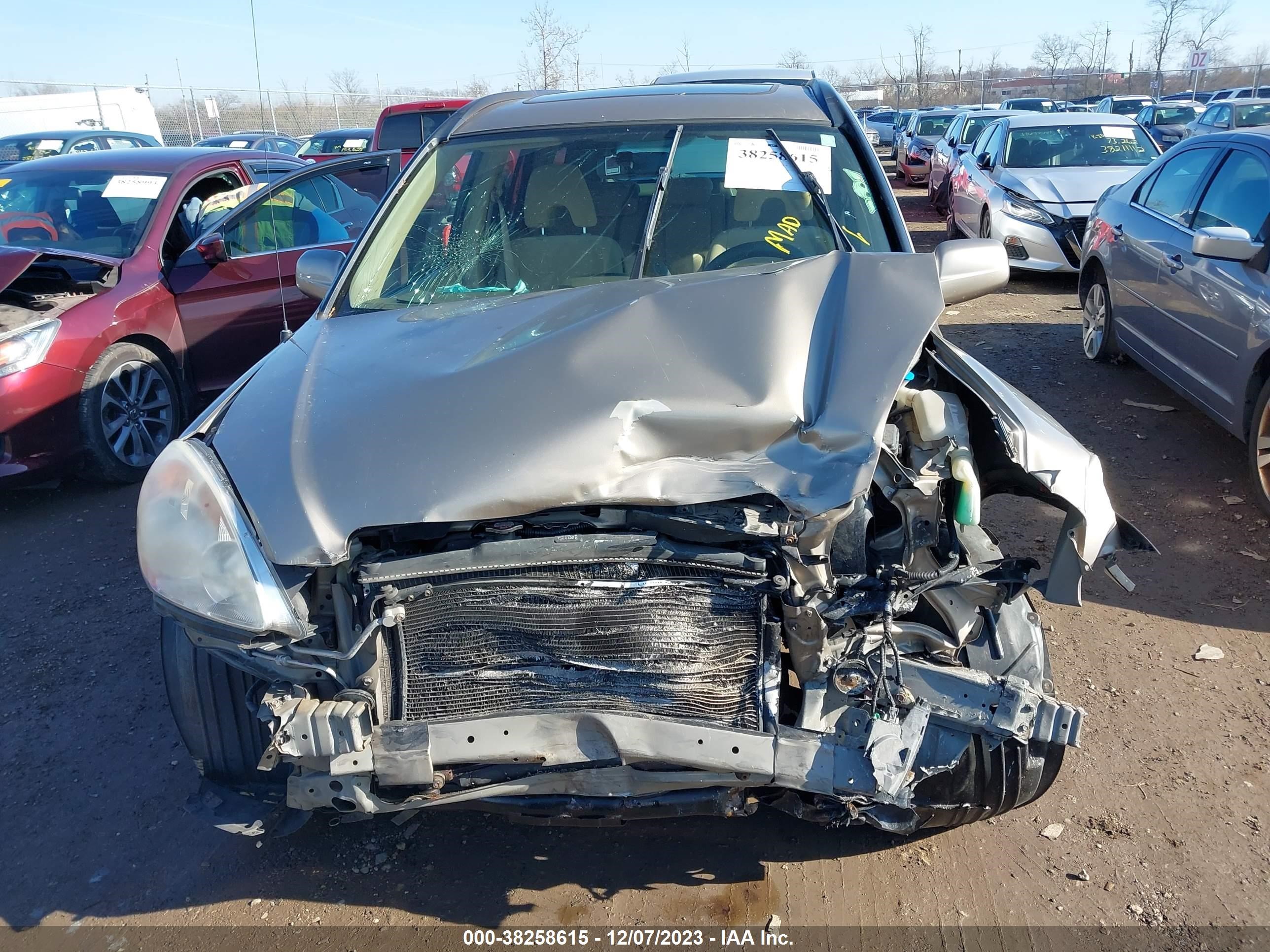 Photo 12 VIN: JHLRD78875C009995 - HONDA CR-V 