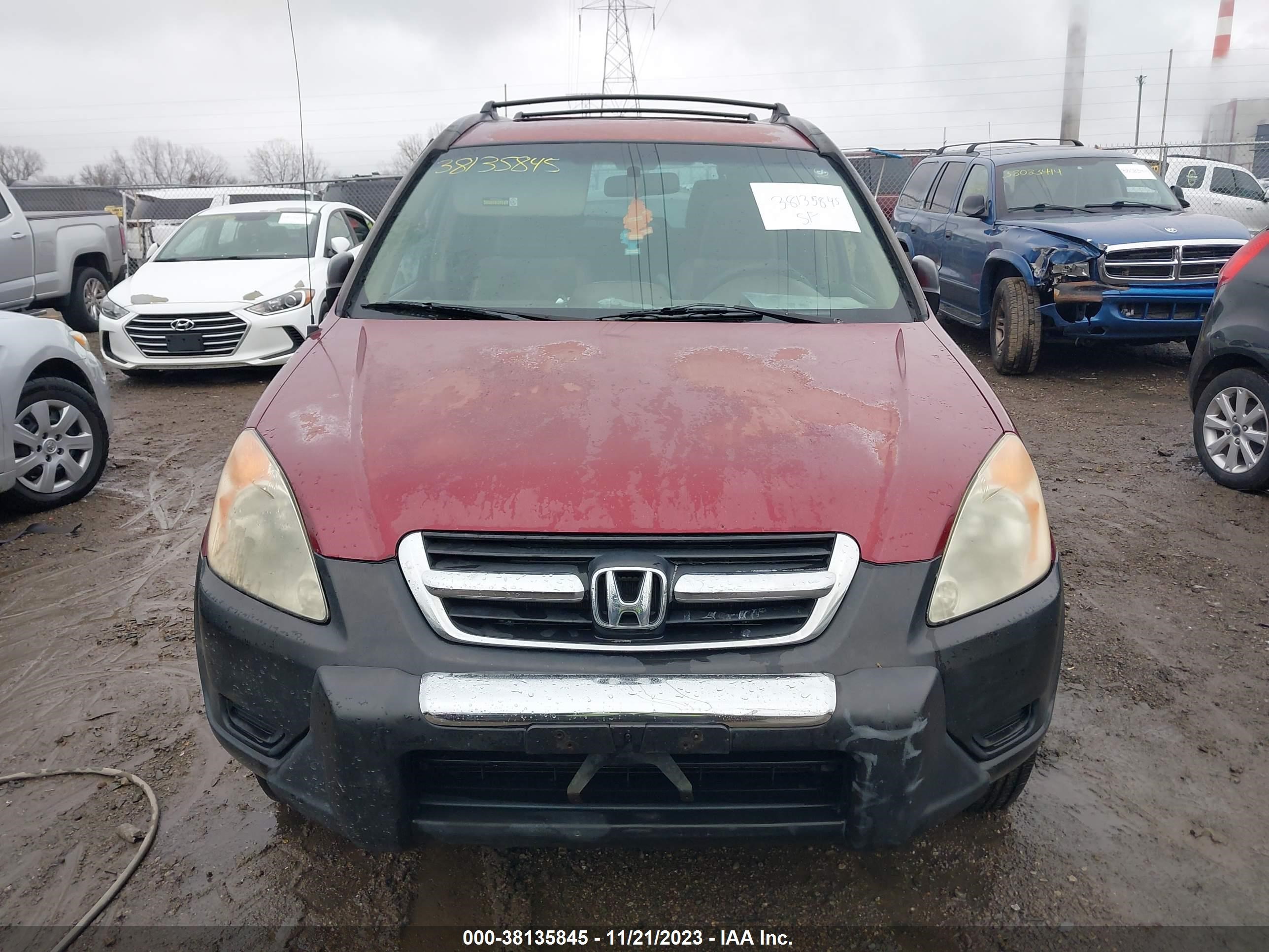 Photo 10 VIN: JHLRD78882C012982 - HONDA CR-V 