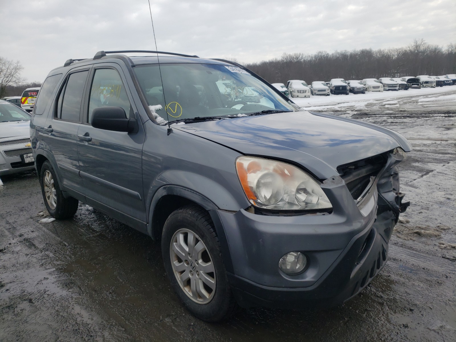 Photo 0 VIN: JHLRD78925C038524 - HONDA CR-V SE 