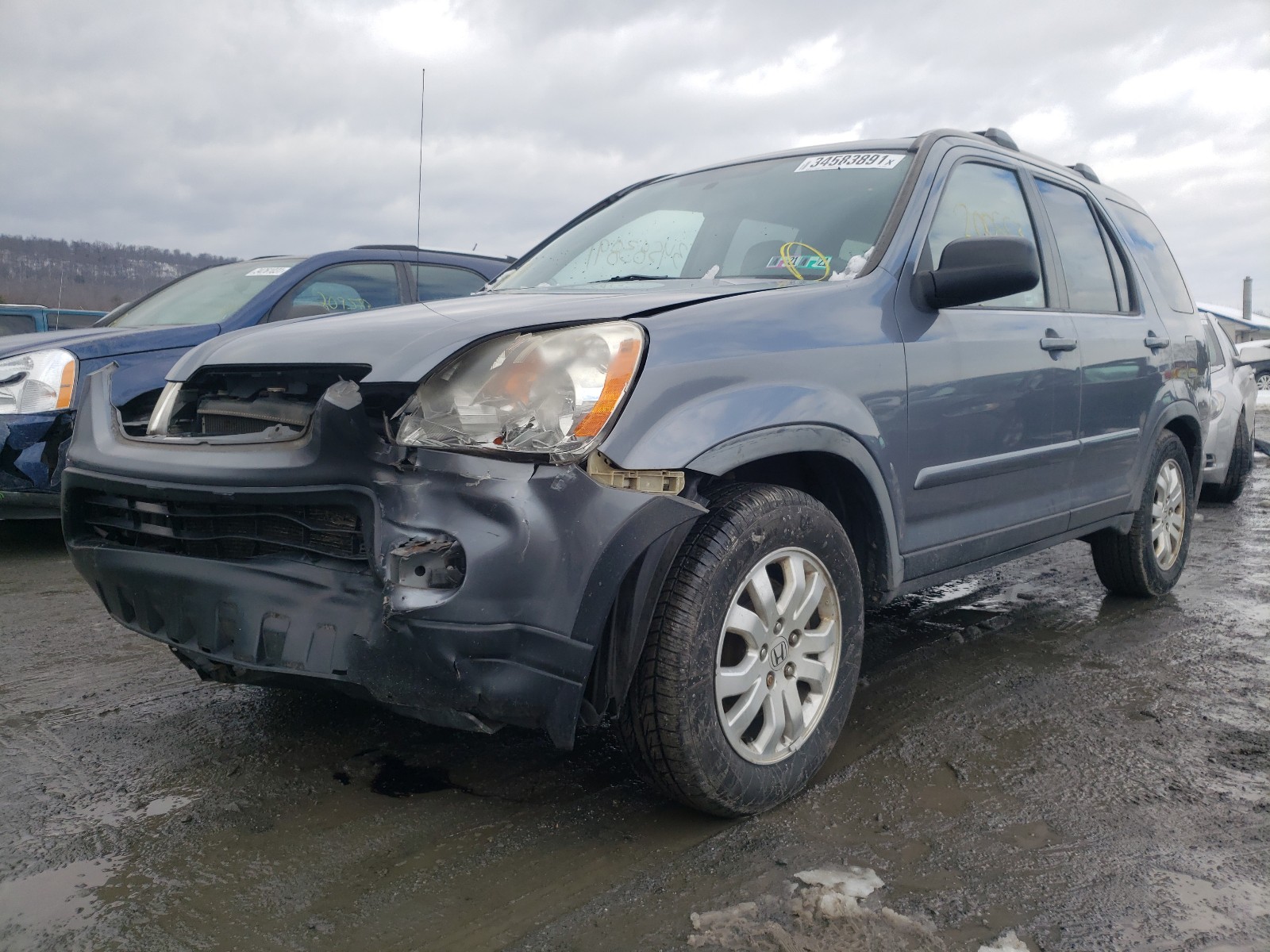 Photo 1 VIN: JHLRD78925C038524 - HONDA CR-V SE 