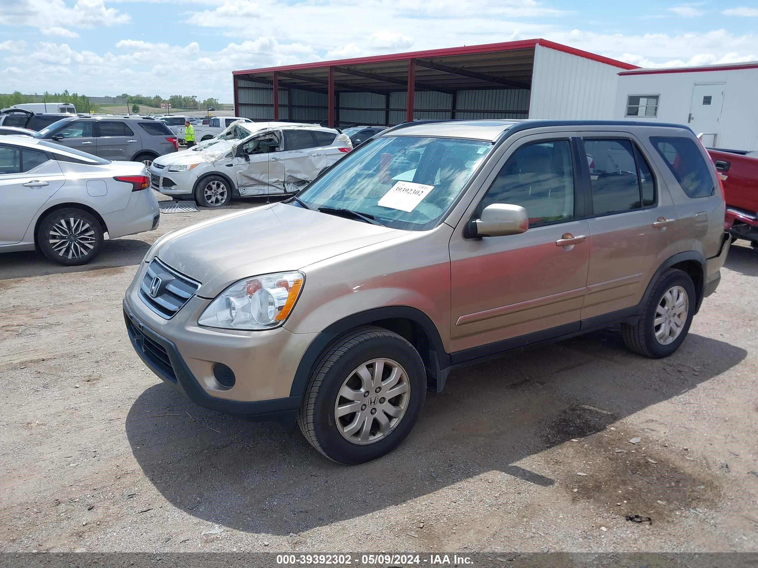 Photo 1 VIN: JHLRD78926C025449 - HONDA CR-V 