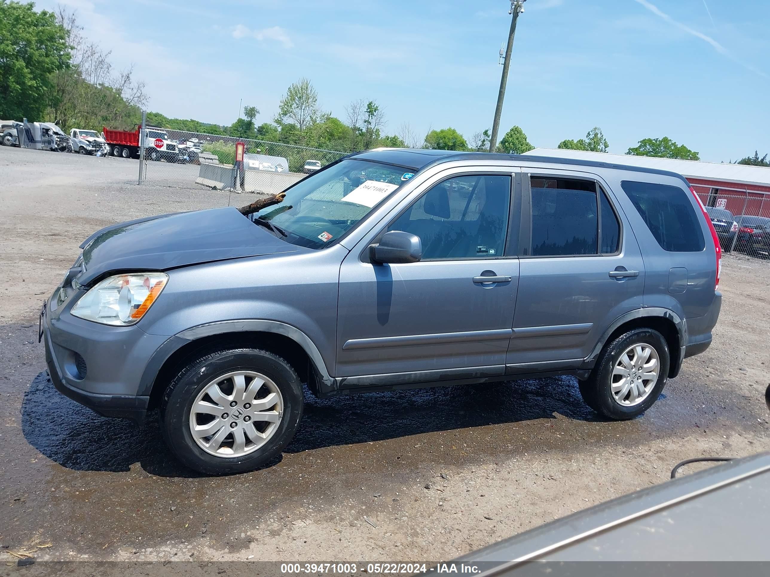 Photo 13 VIN: JHLRD78956C008273 - HONDA CR-V 