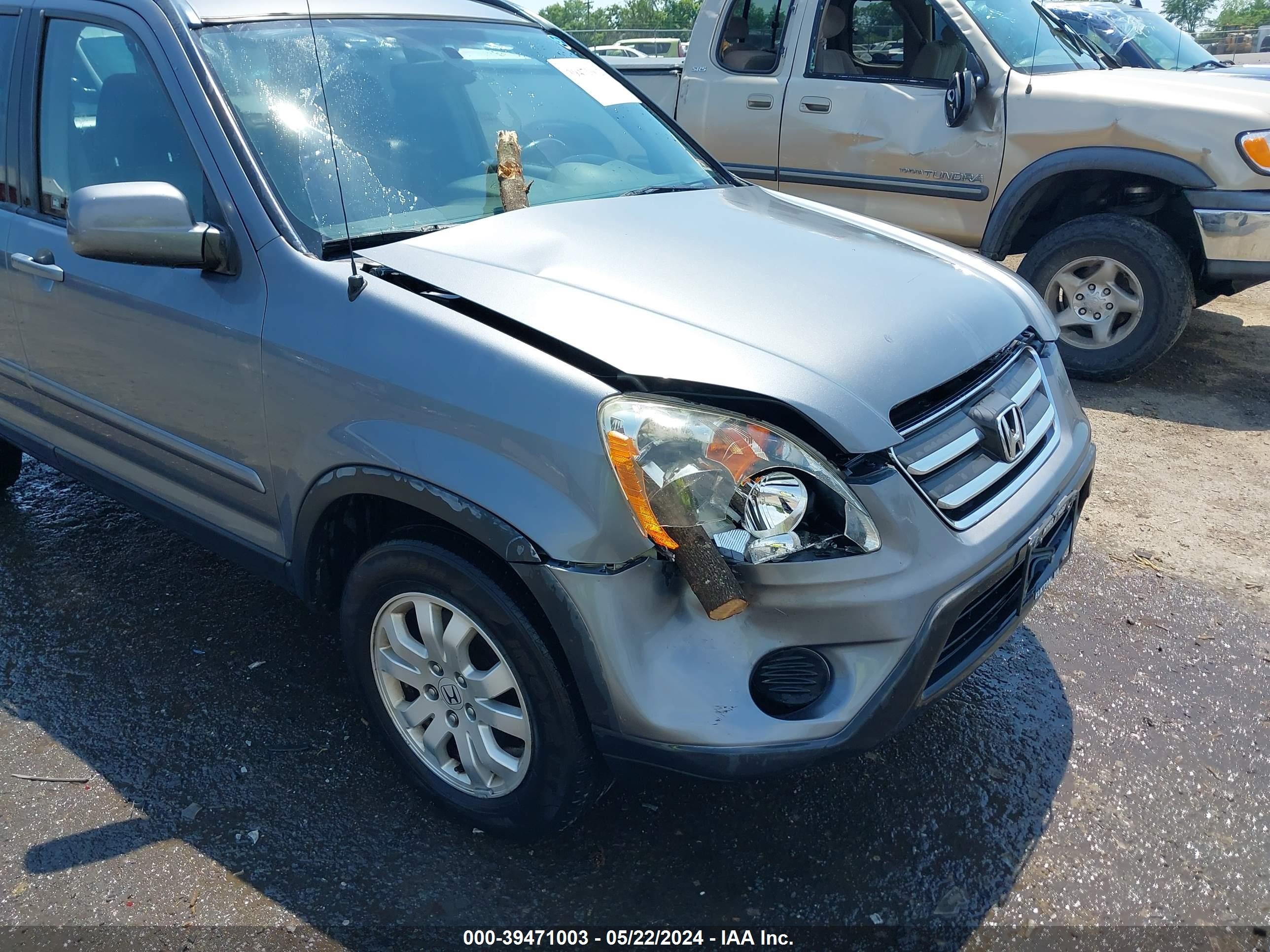 Photo 5 VIN: JHLRD78956C008273 - HONDA CR-V 