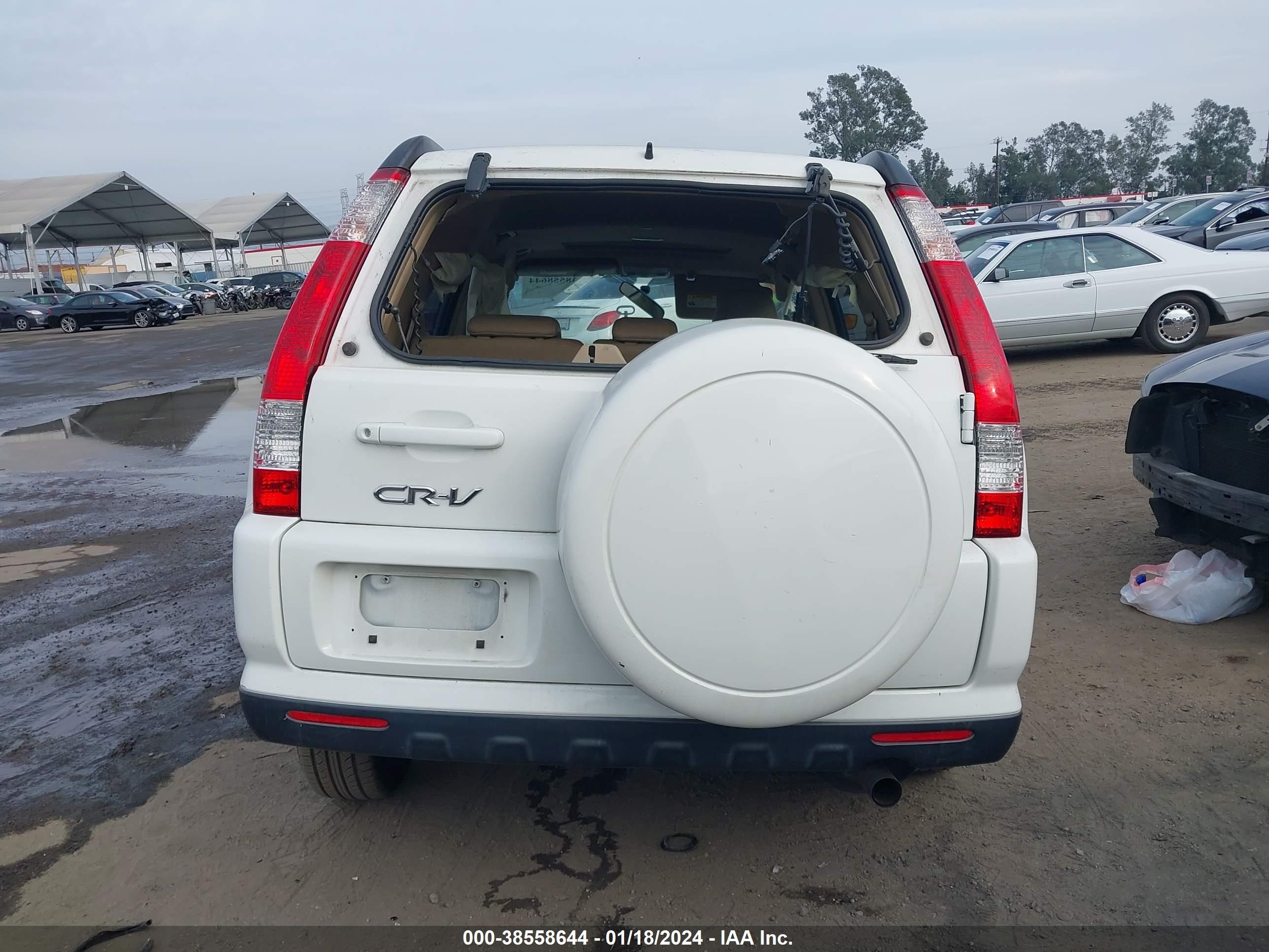 Photo 16 VIN: JHLRD78966C059524 - HONDA CR-V 