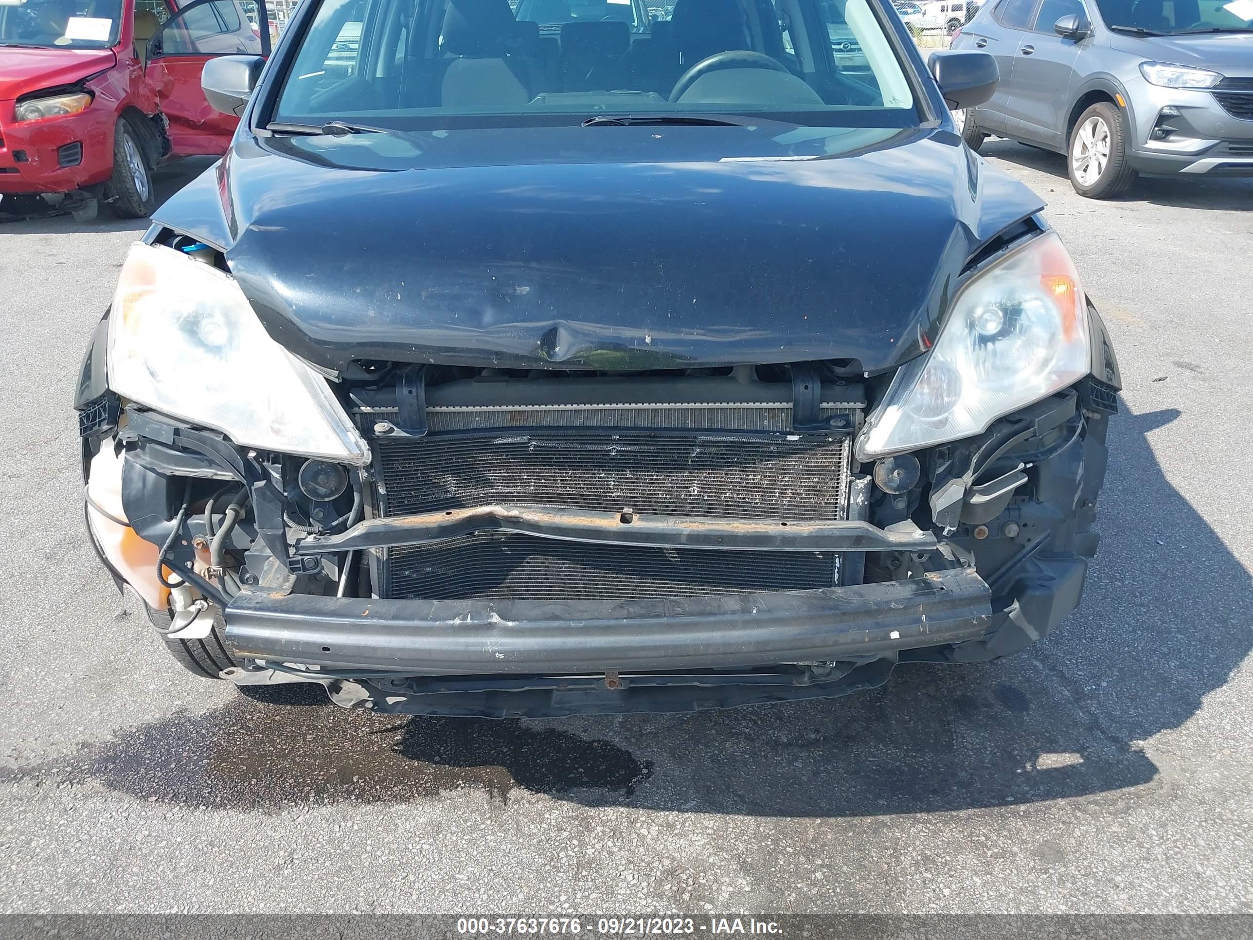 Photo 5 VIN: JHLRE48369C014546 - HONDA CR-V 