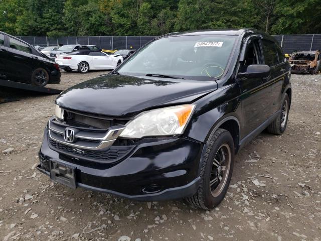 Photo 1 VIN: JHLRE4H36BC015007 - HONDA CR-V LX 