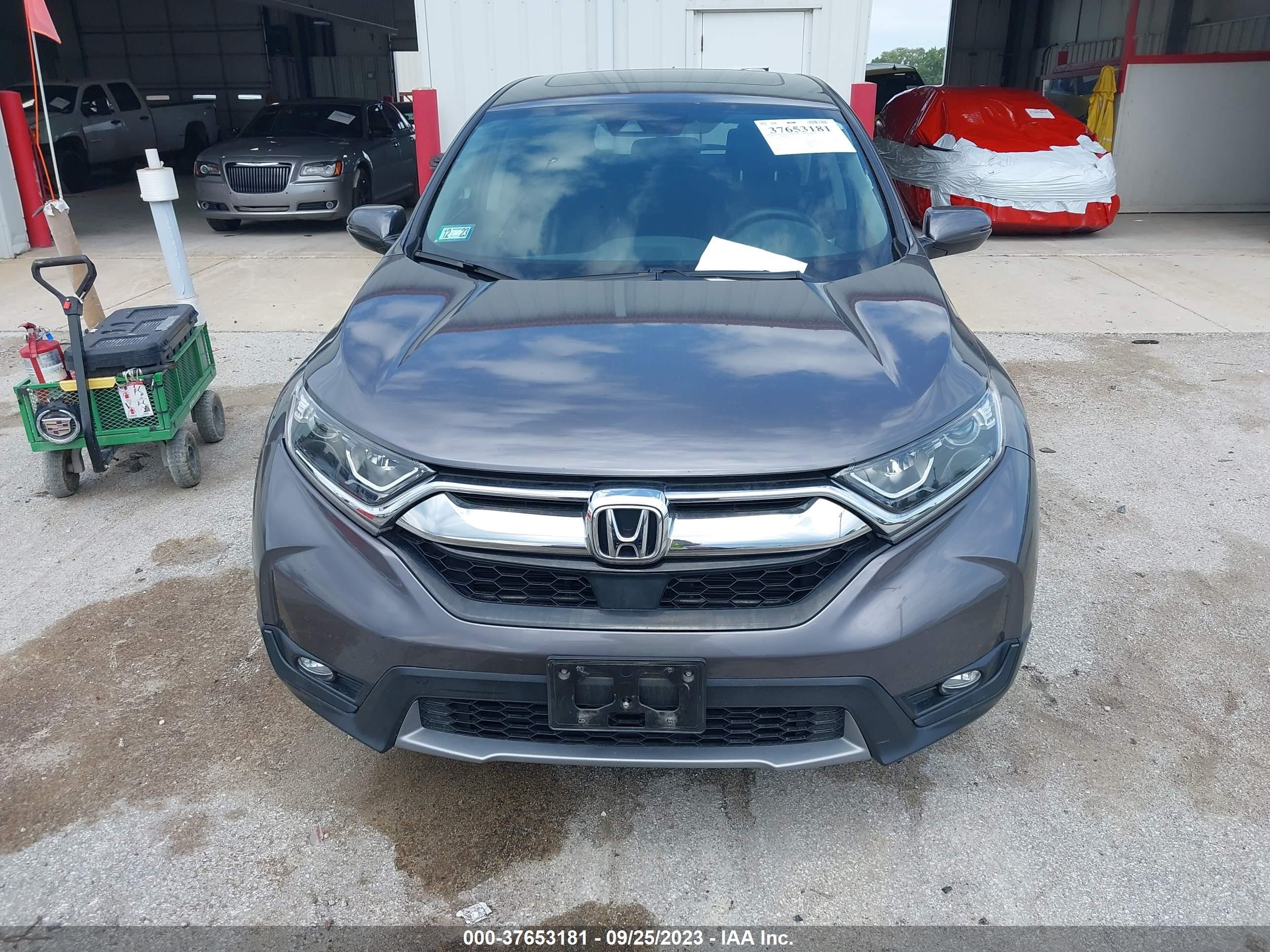 Photo 11 VIN: JHLRW2H50KX010929 - HONDA CR-V 