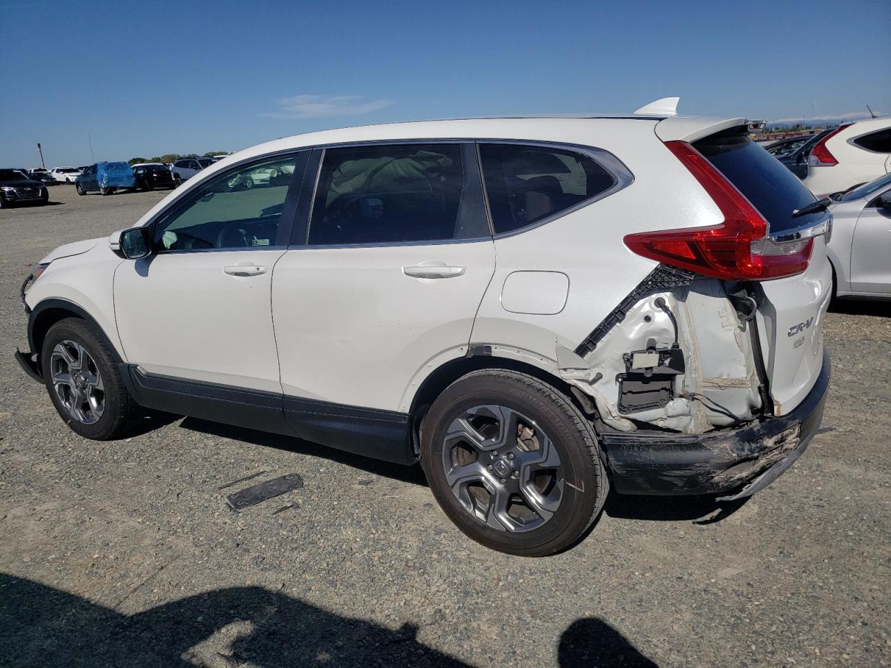 Photo 1 VIN: JHLRW2H55KX013857 - HONDA CR-V 