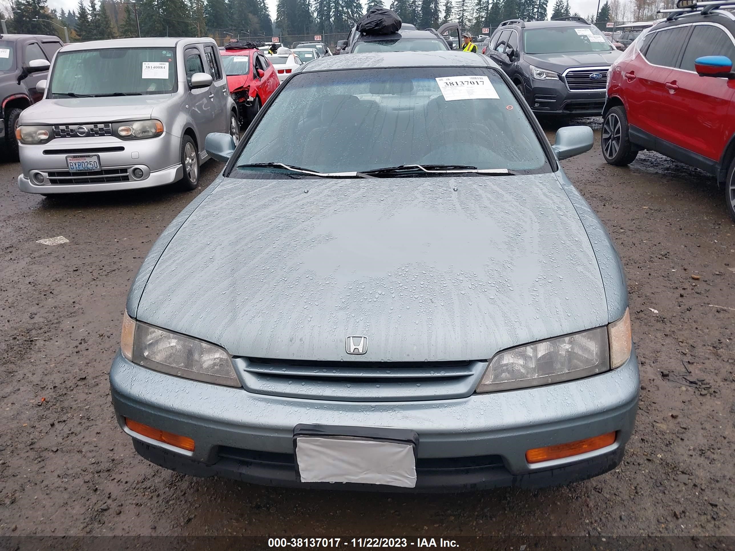 Photo 10 VIN: JHMCD5541RC036557 - HONDA ACCORD 