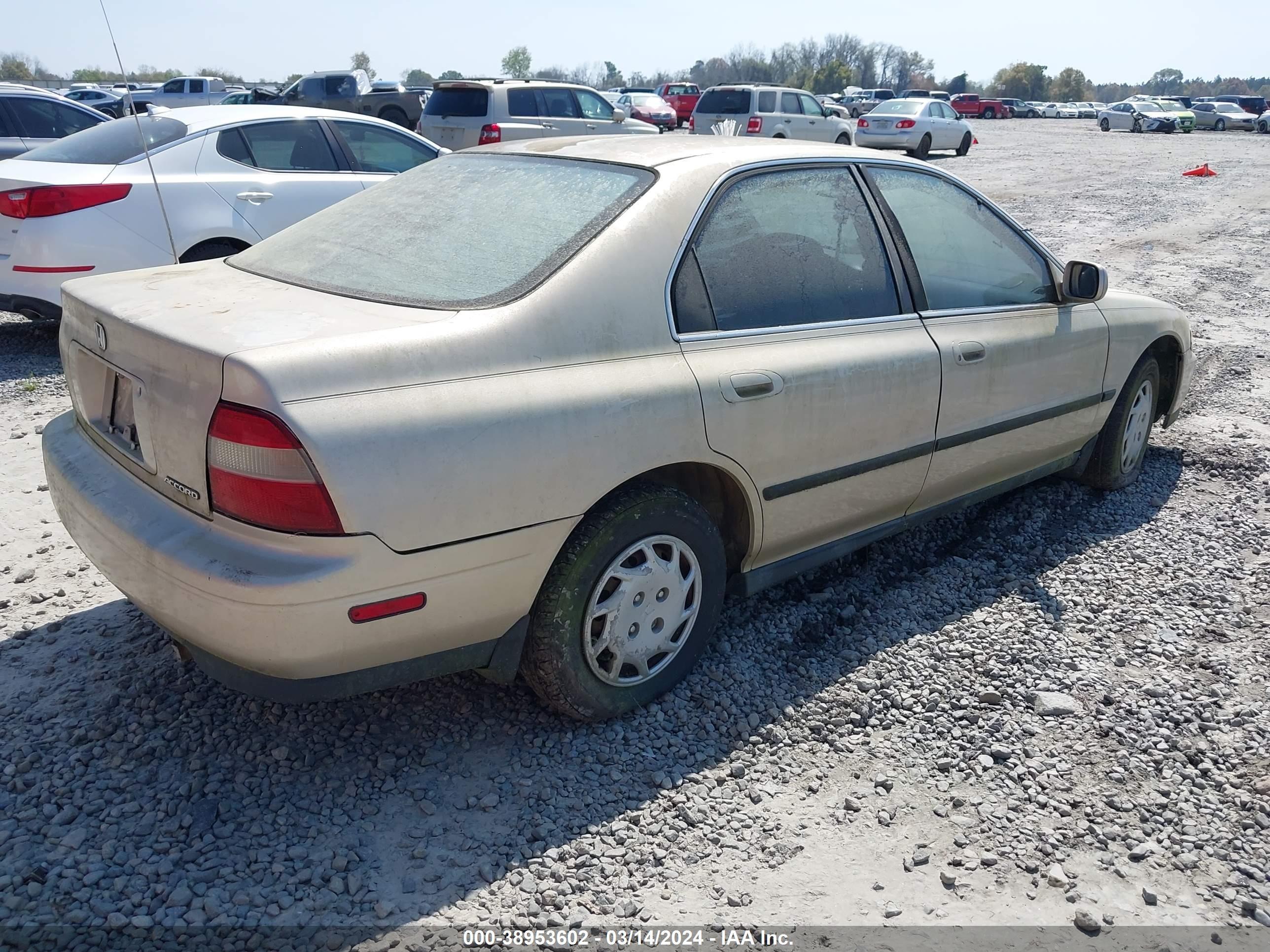 Photo 3 VIN: JHMCD5637RC084568 - HONDA ACCORD 