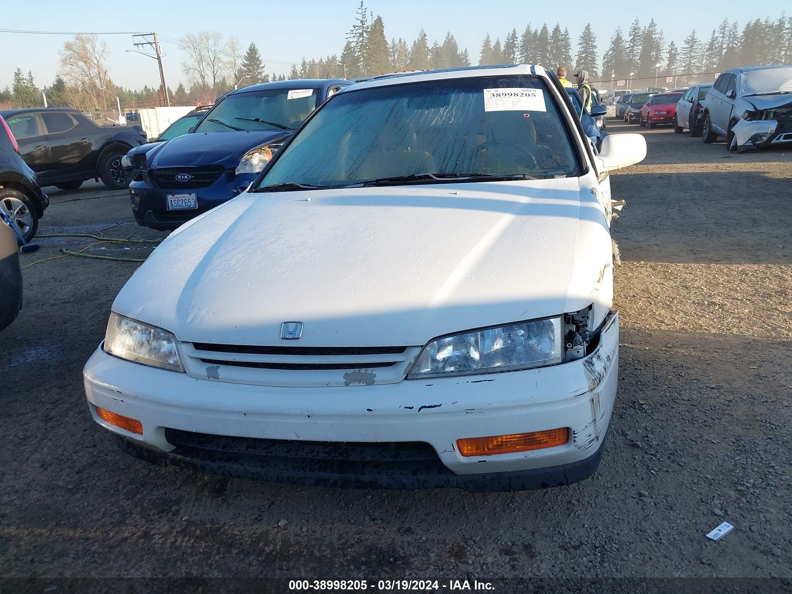 Photo 12 VIN: JHMCD5652RC100645 - HONDA ACCORD 