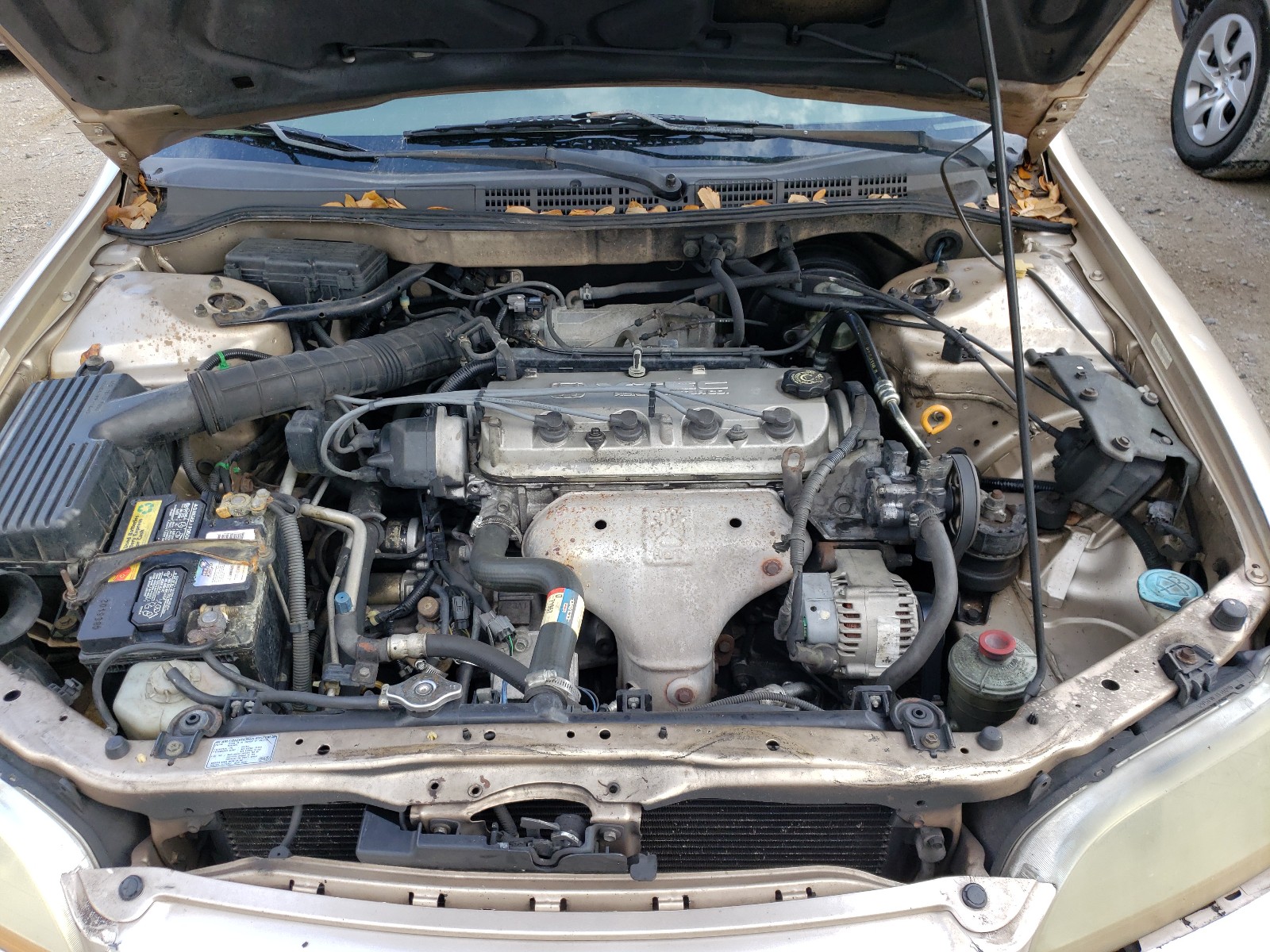 Photo 6 VIN: JHMCG564X2C025665 - HONDA ACCORD LX 