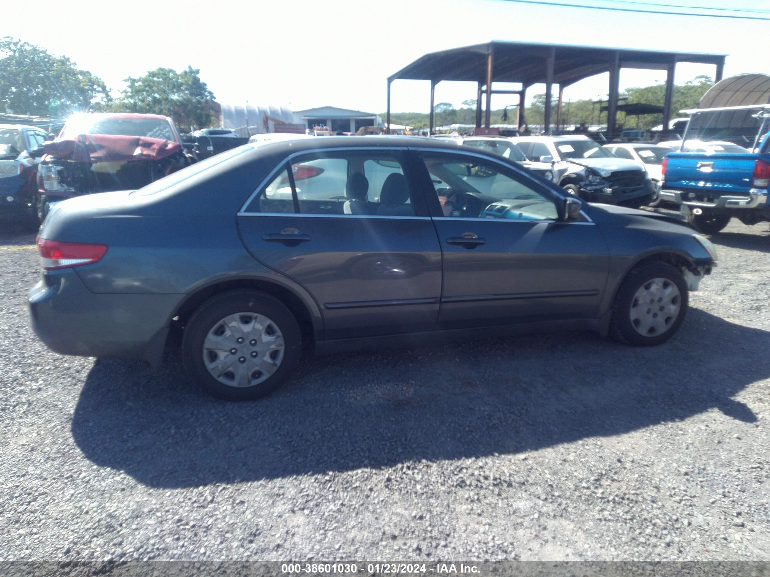 Photo 12 VIN: JHMCM56304C026696 - HONDA ACCORD 