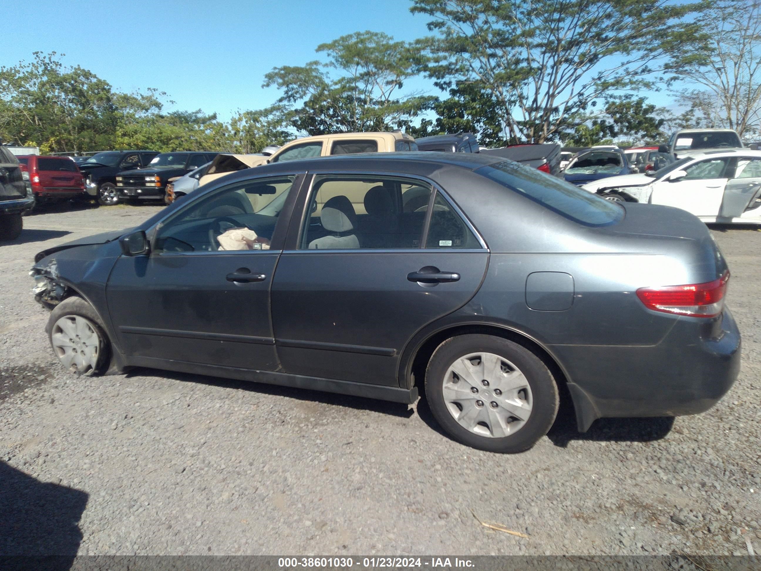 Photo 13 VIN: JHMCM56304C026696 - HONDA ACCORD 