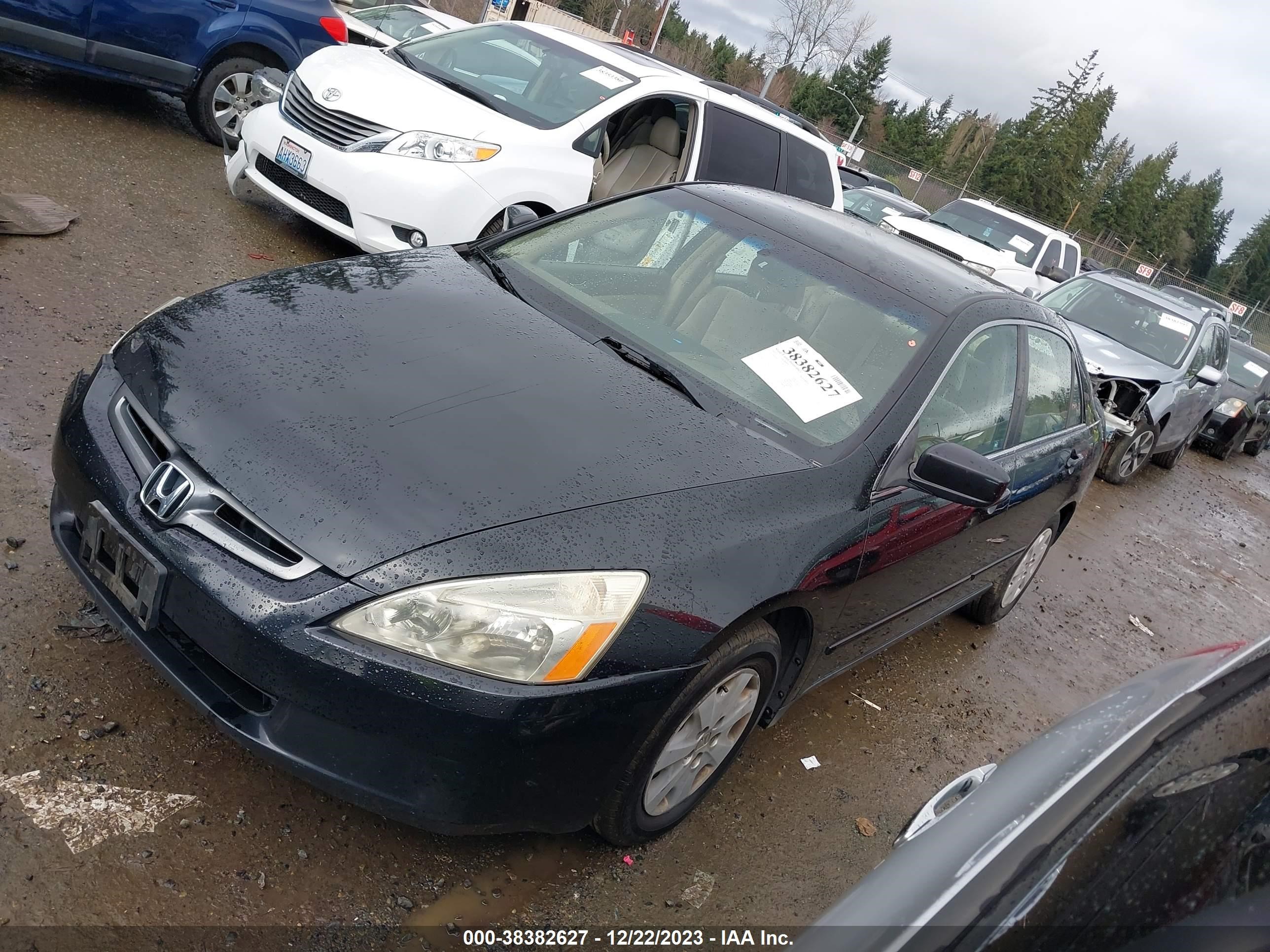 Photo 1 VIN: JHMCM56313C040301 - HONDA ACCORD 