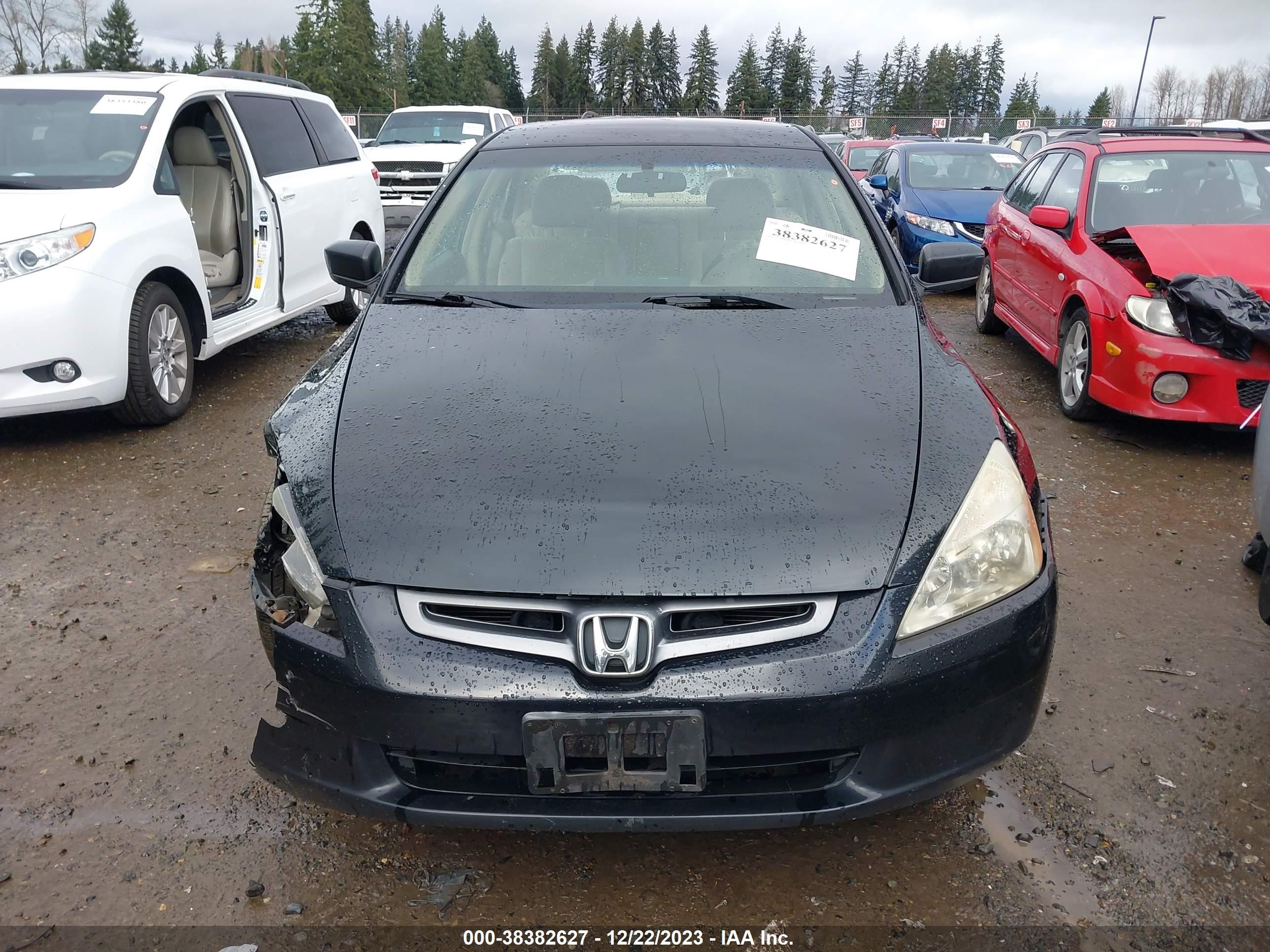 Photo 12 VIN: JHMCM56313C040301 - HONDA ACCORD 