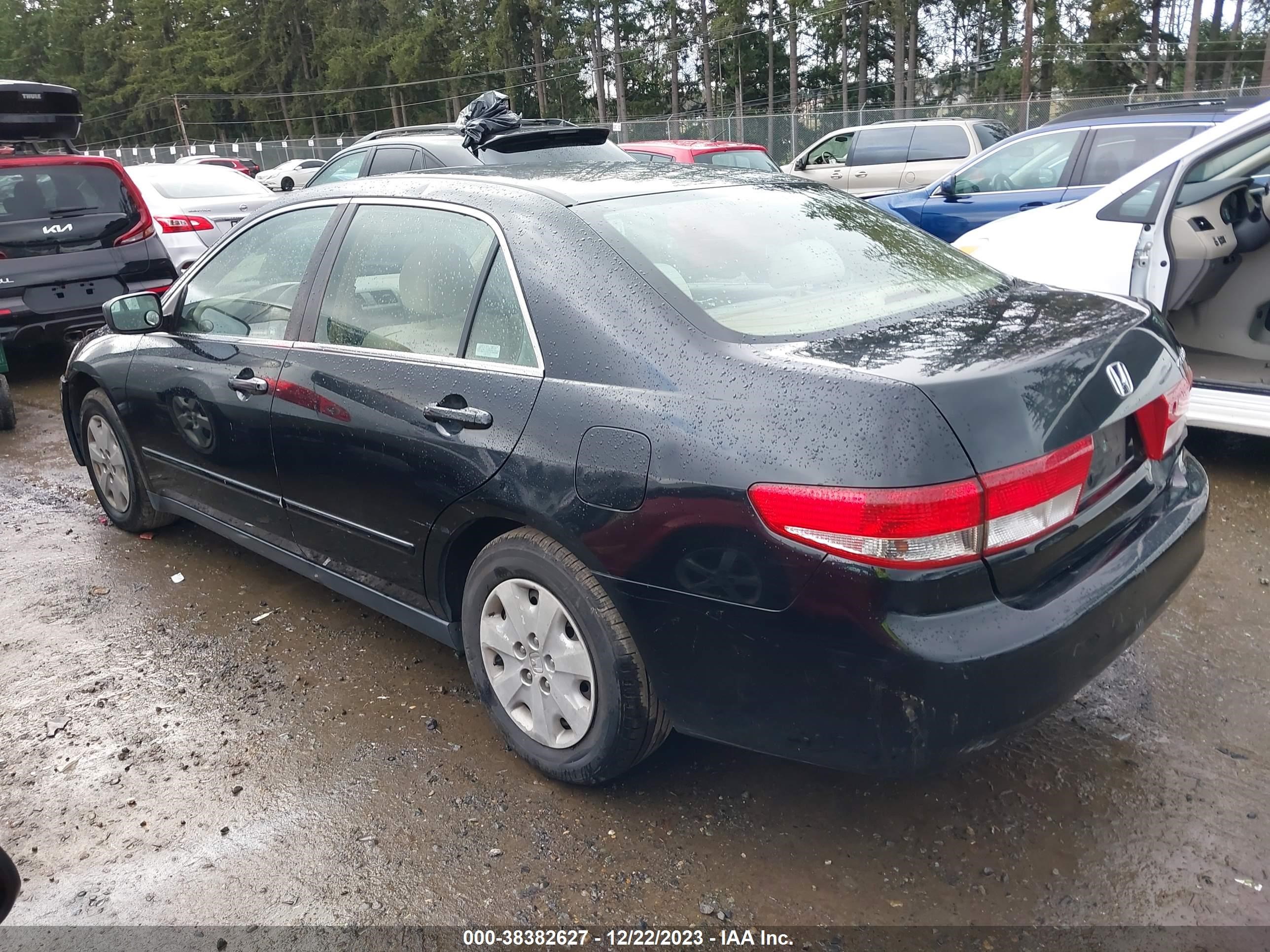 Photo 2 VIN: JHMCM56313C040301 - HONDA ACCORD 