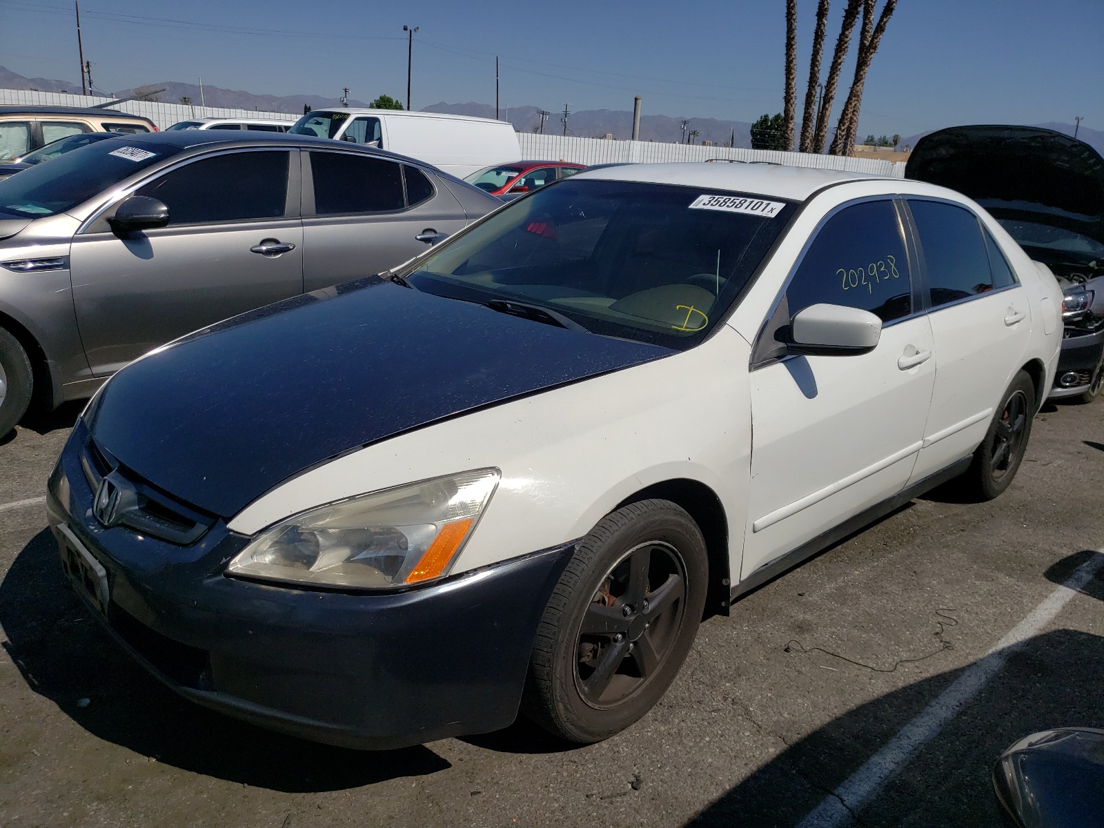 Photo 1 VIN: JHMCM56313C050858 - HONDA ACCORD LX 