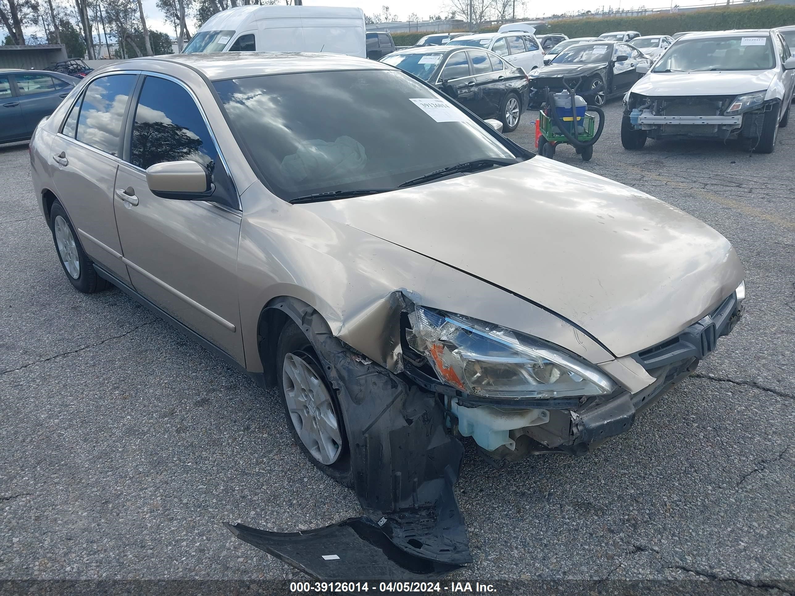 Photo 0 VIN: JHMCM56353C087668 - HONDA ACCORD 