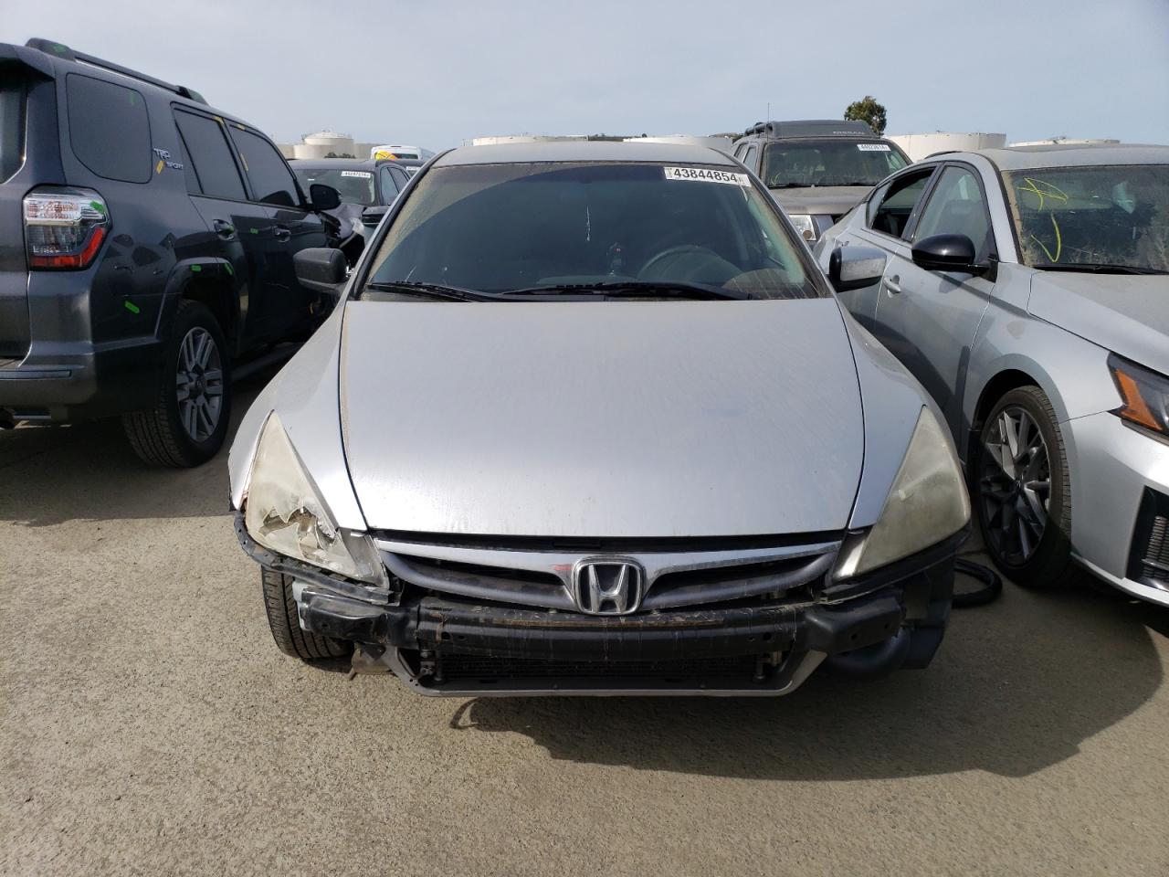 Photo 4 VIN: JHMCM56387C002473 - HONDA ACCORD 