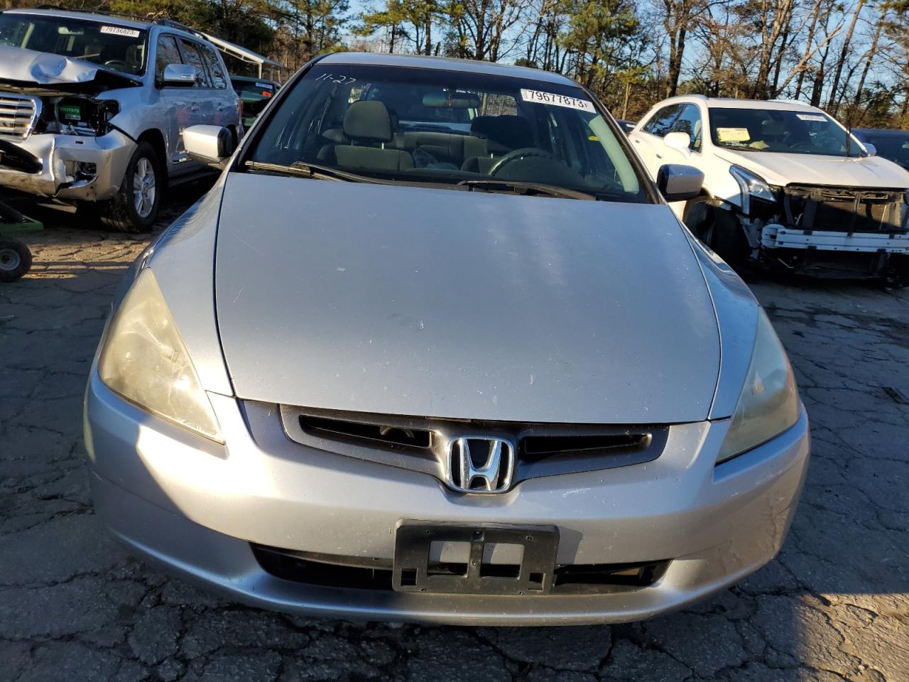 Photo 4 VIN: JHMCM56393C033435 - HONDA ACCORD 