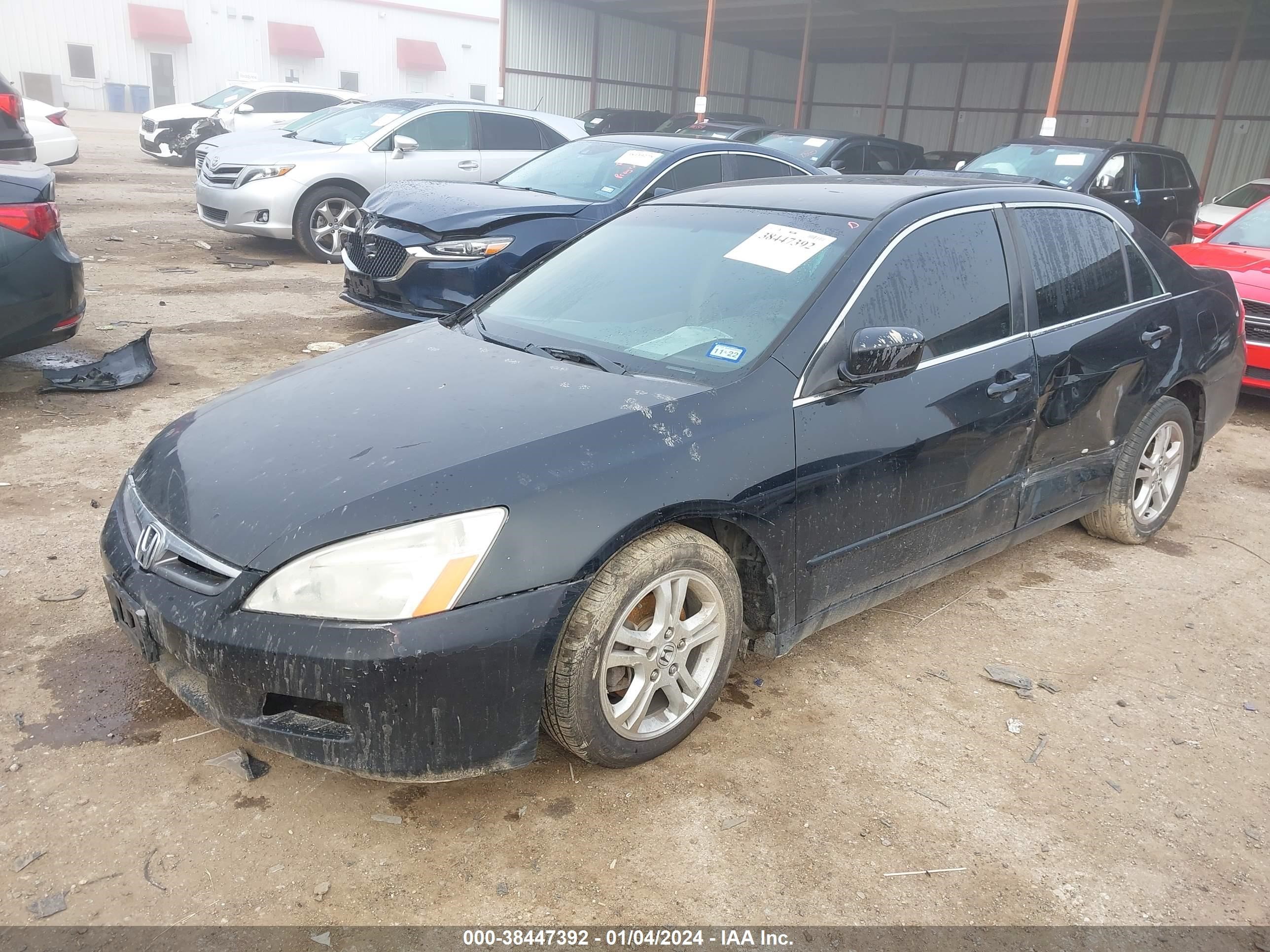 Photo 1 VIN: JHMCM56397C013613 - HONDA ACCORD 