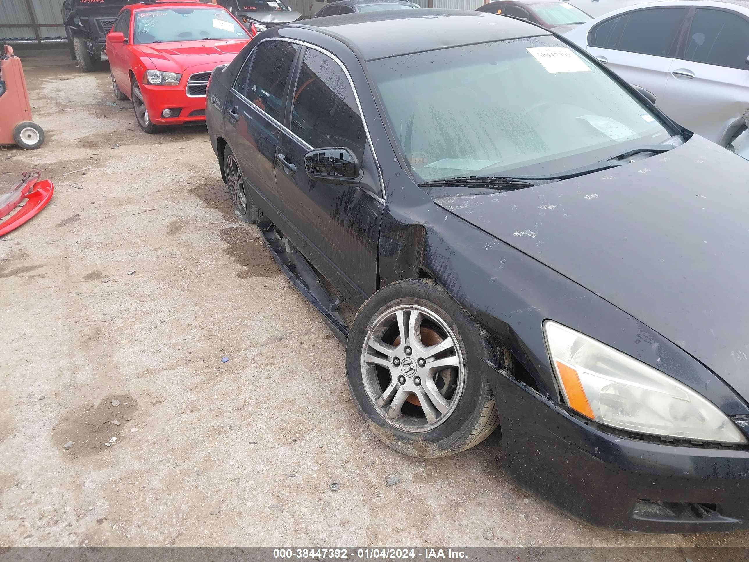 Photo 5 VIN: JHMCM56397C013613 - HONDA ACCORD 