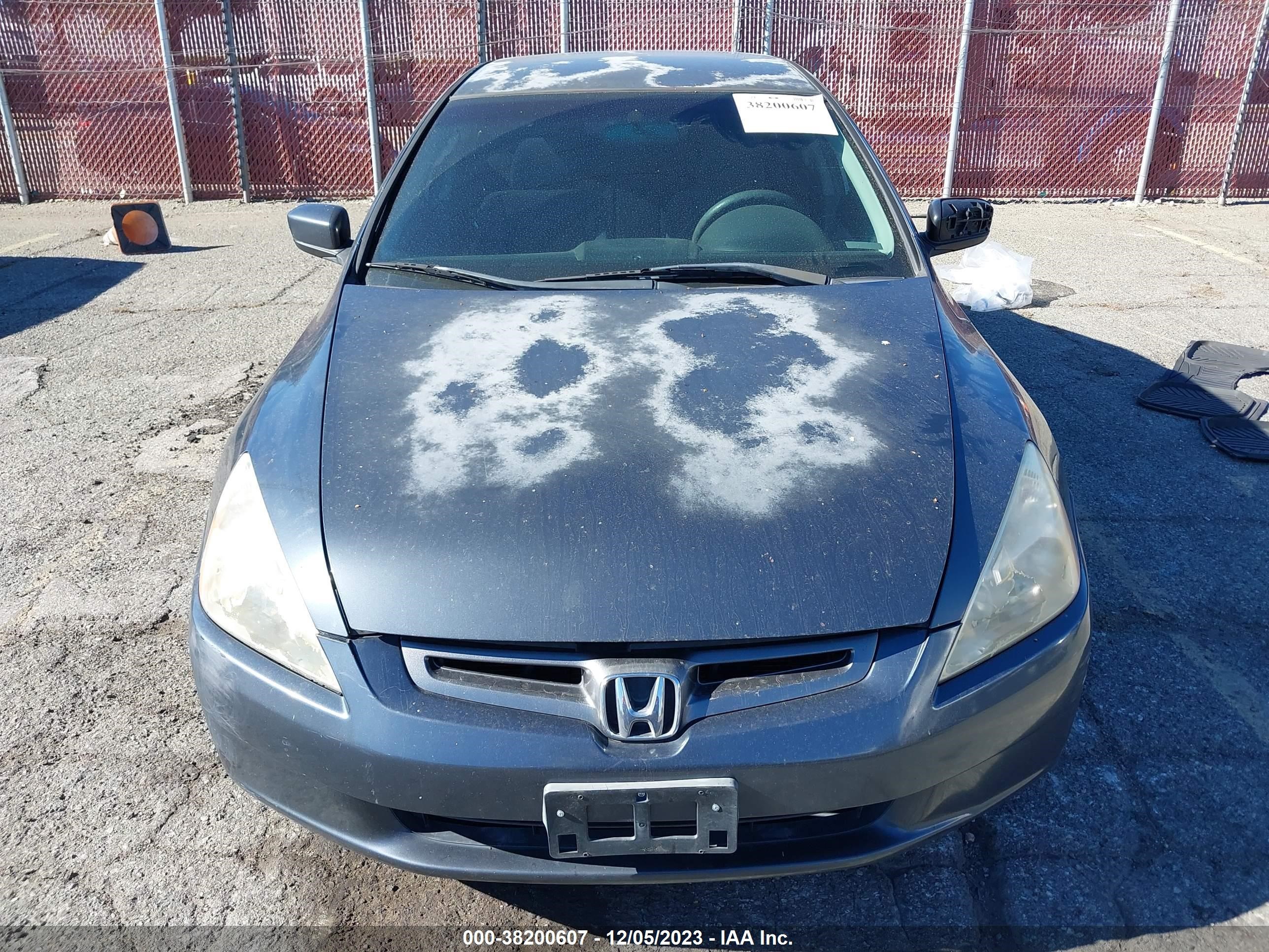 Photo 11 VIN: JHMCM56435C004363 - HONDA ACCORD 