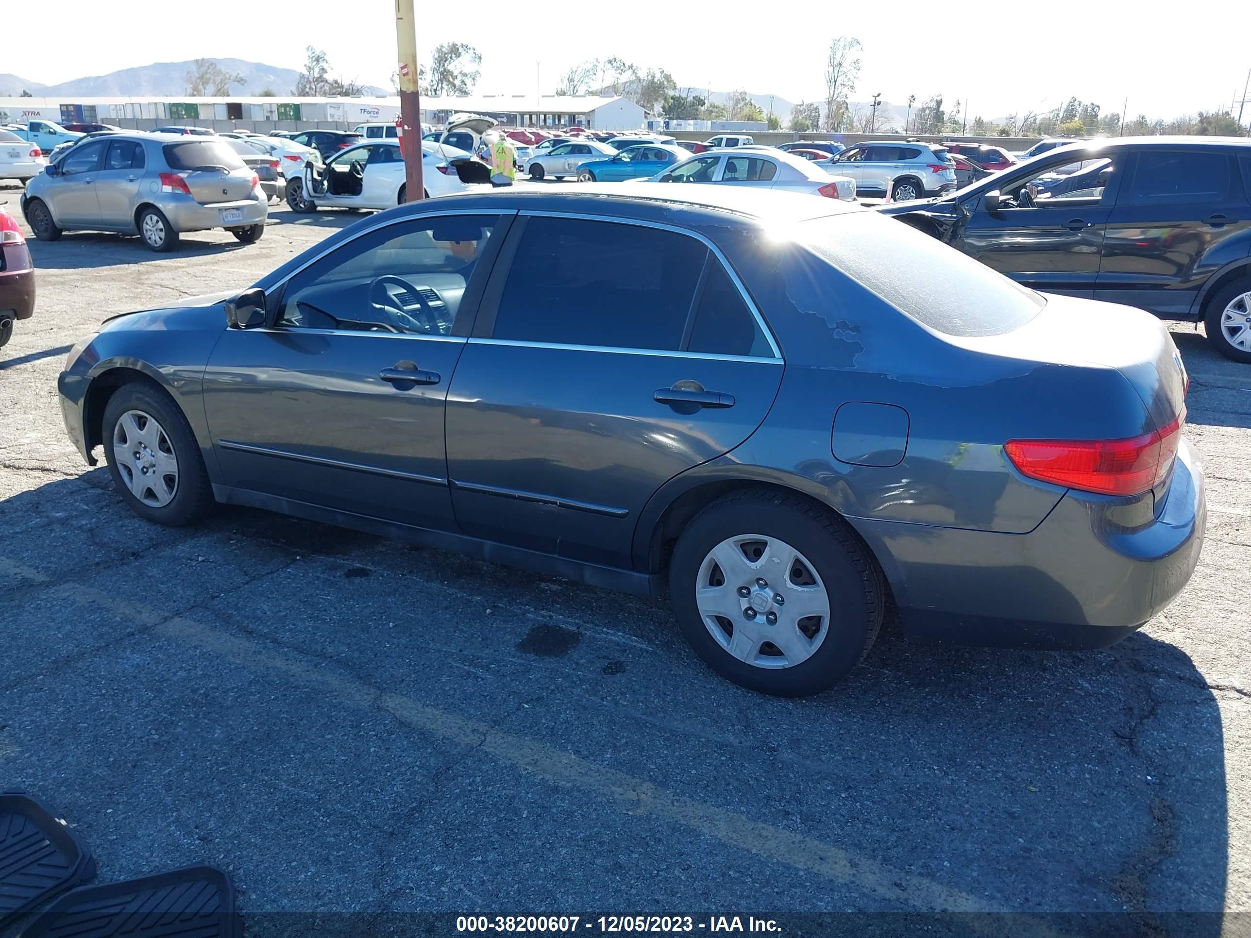 Photo 13 VIN: JHMCM56435C004363 - HONDA ACCORD 