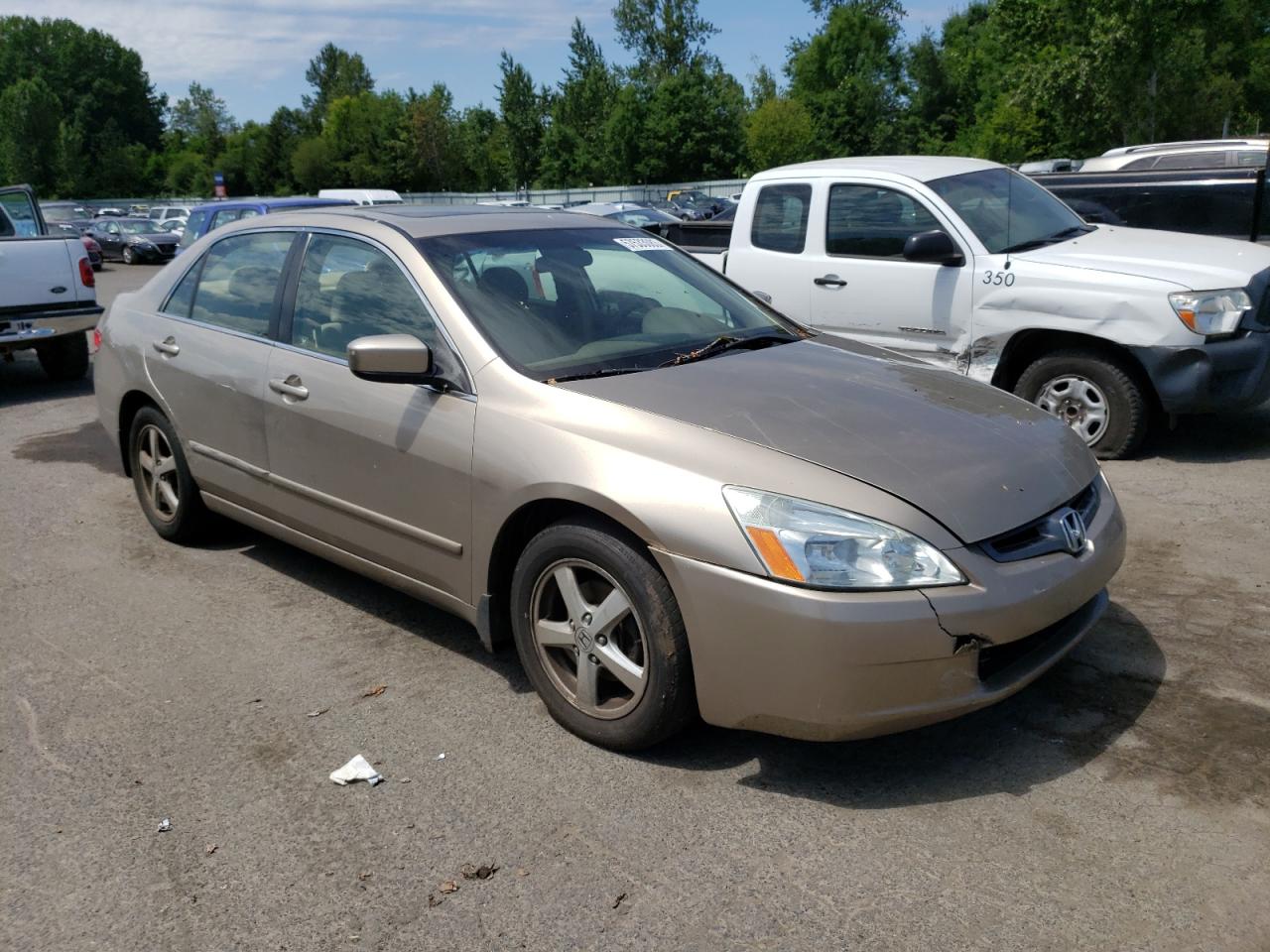 Photo 3 VIN: JHMCM56603C047508 - HONDA ACCORD 