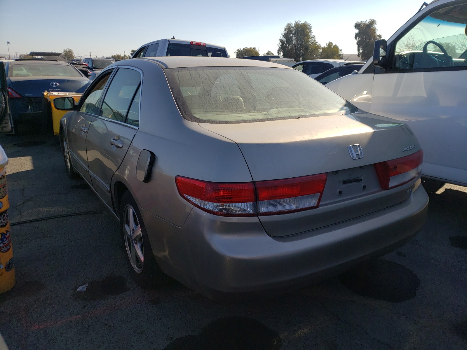 Photo 2 VIN: JHMCM56603C079200 - HONDA ACCORD EX 