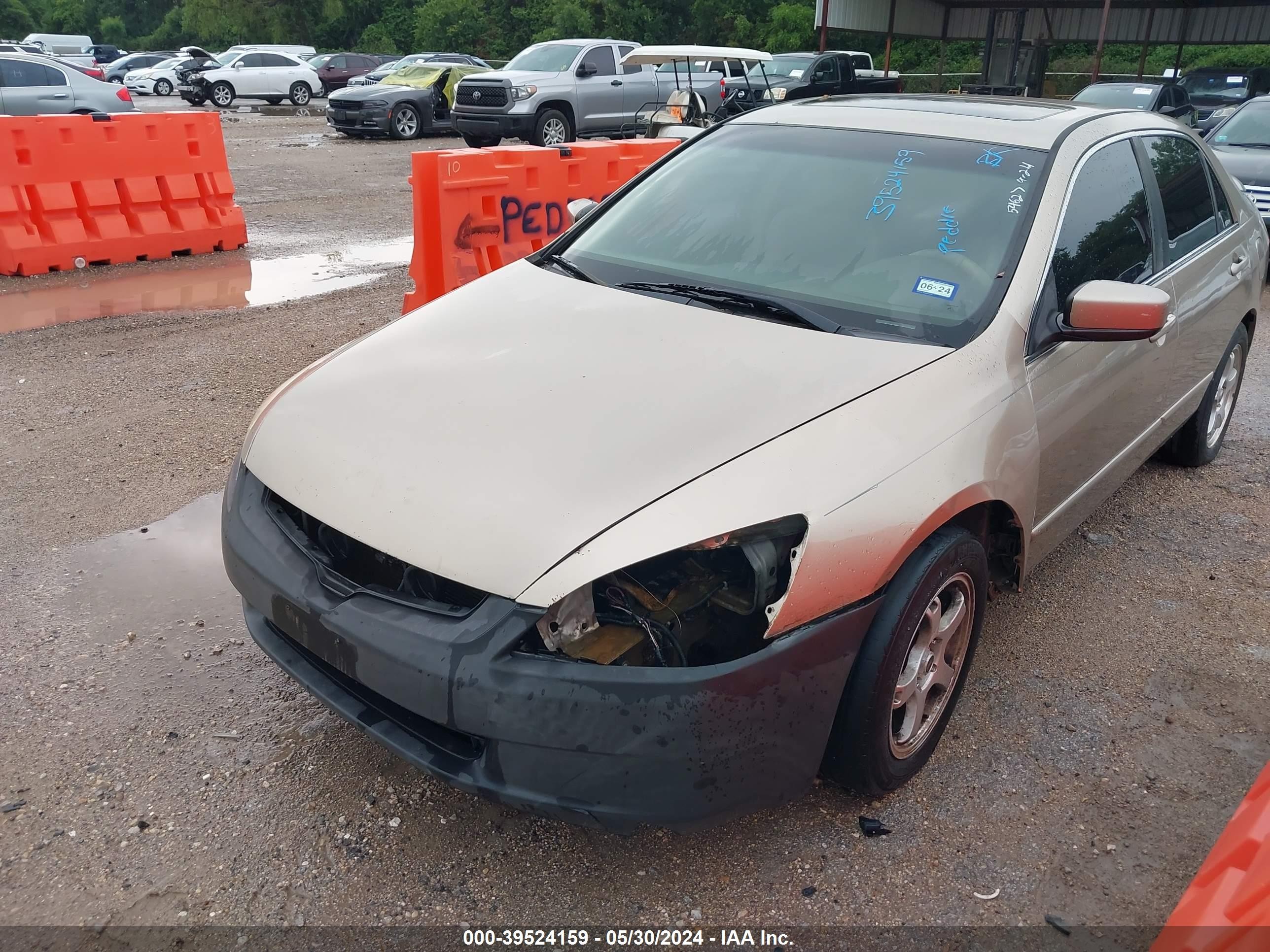 Photo 5 VIN: JHMCM56613C014579 - HONDA ACCORD 