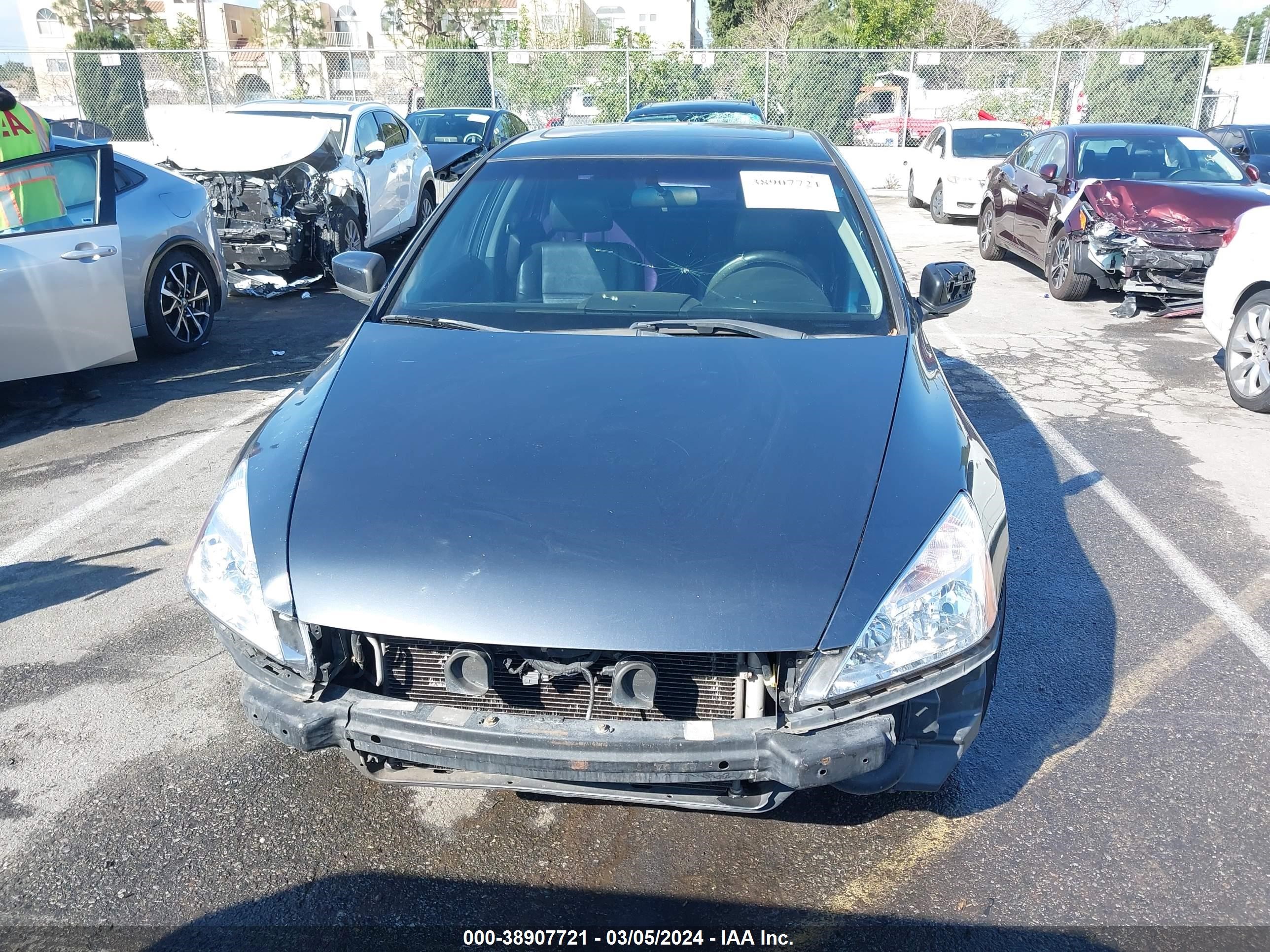 Photo 12 VIN: JHMCM56613C064706 - HONDA ACCORD 