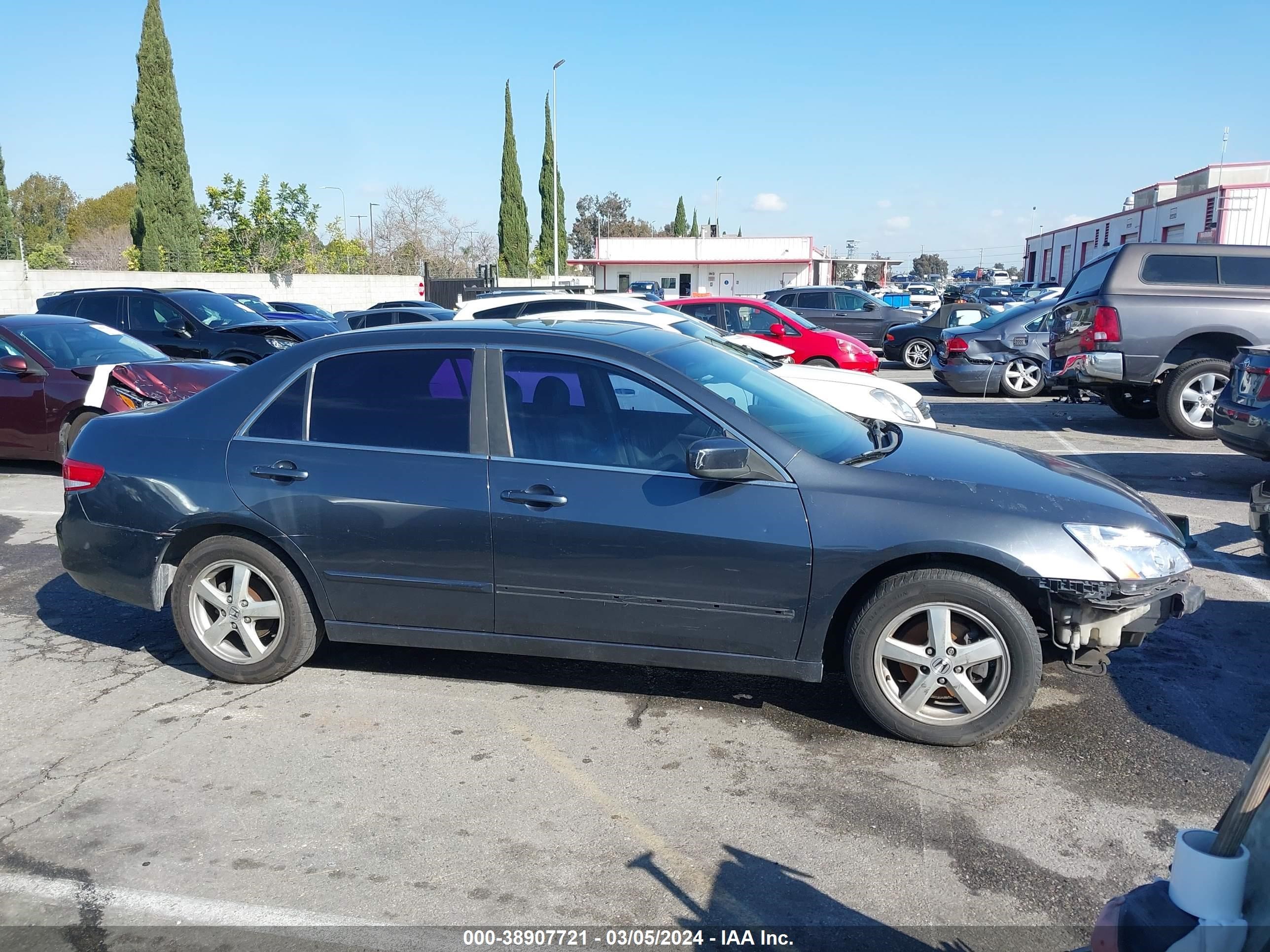 Photo 13 VIN: JHMCM56613C064706 - HONDA ACCORD 