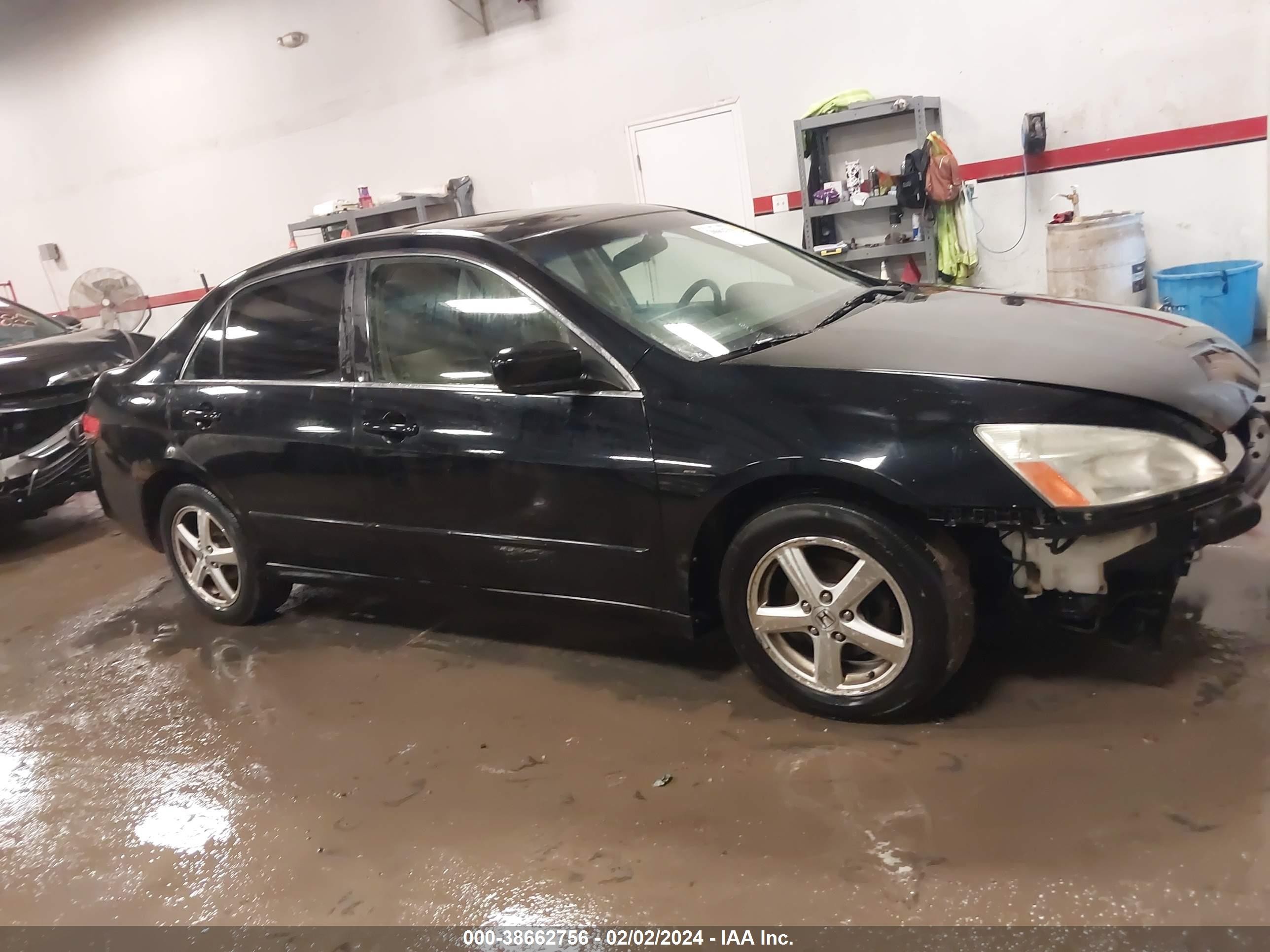 Photo 13 VIN: JHMCM56643C010963 - HONDA ACCORD 