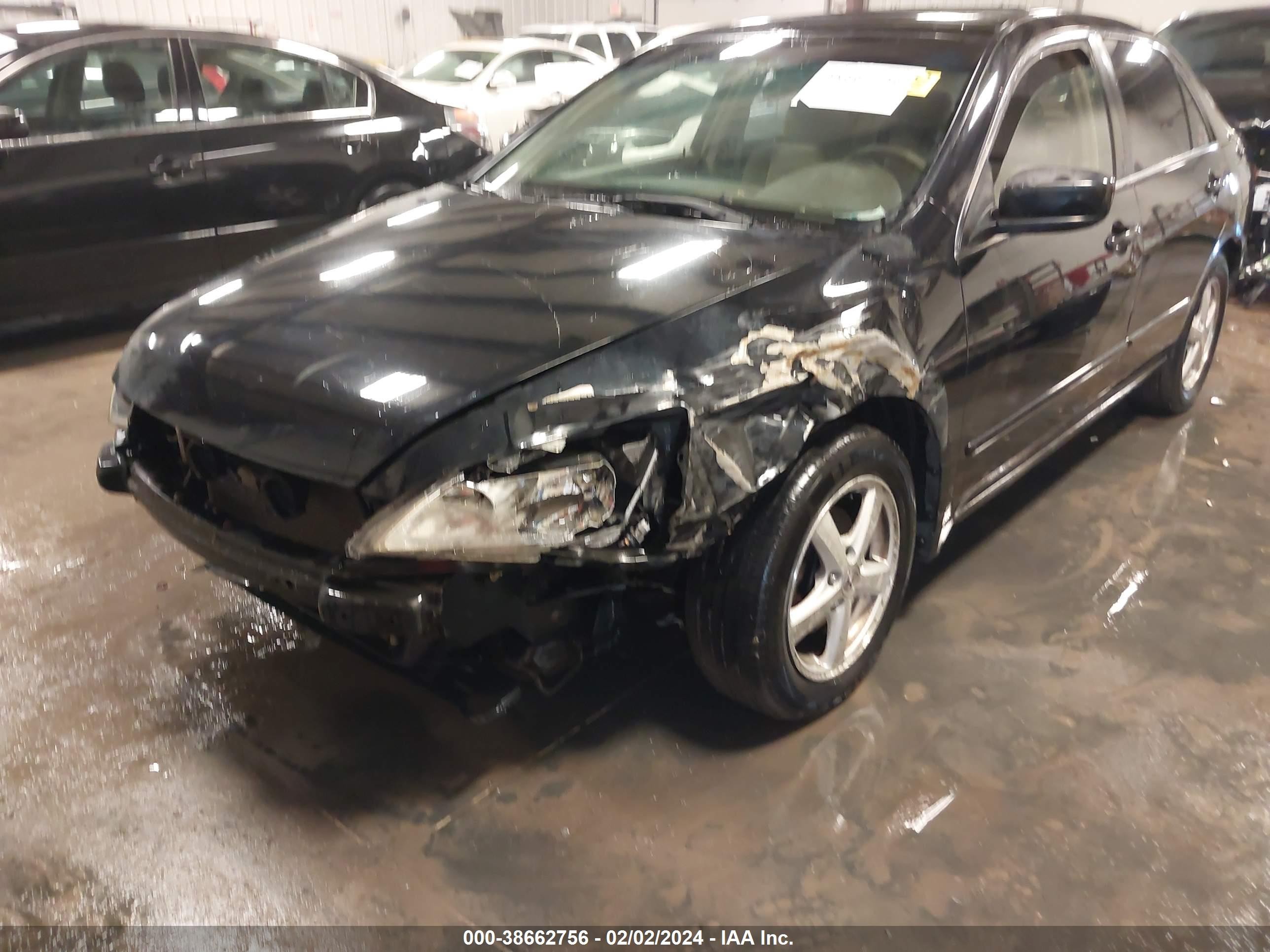 Photo 5 VIN: JHMCM56643C010963 - HONDA ACCORD 