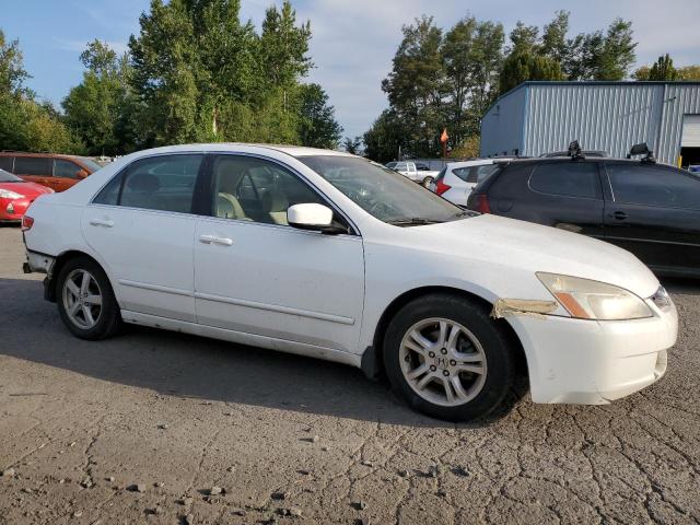 Photo 3 VIN: JHMCM56663C041020 - HONDA ACCORD EX 