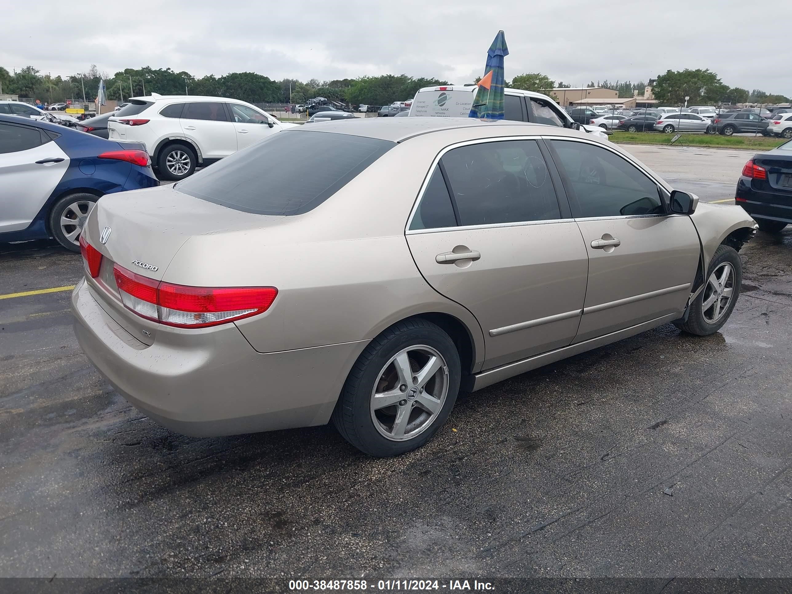 Photo 3 VIN: JHMCM56683C056991 - HONDA ACCORD 