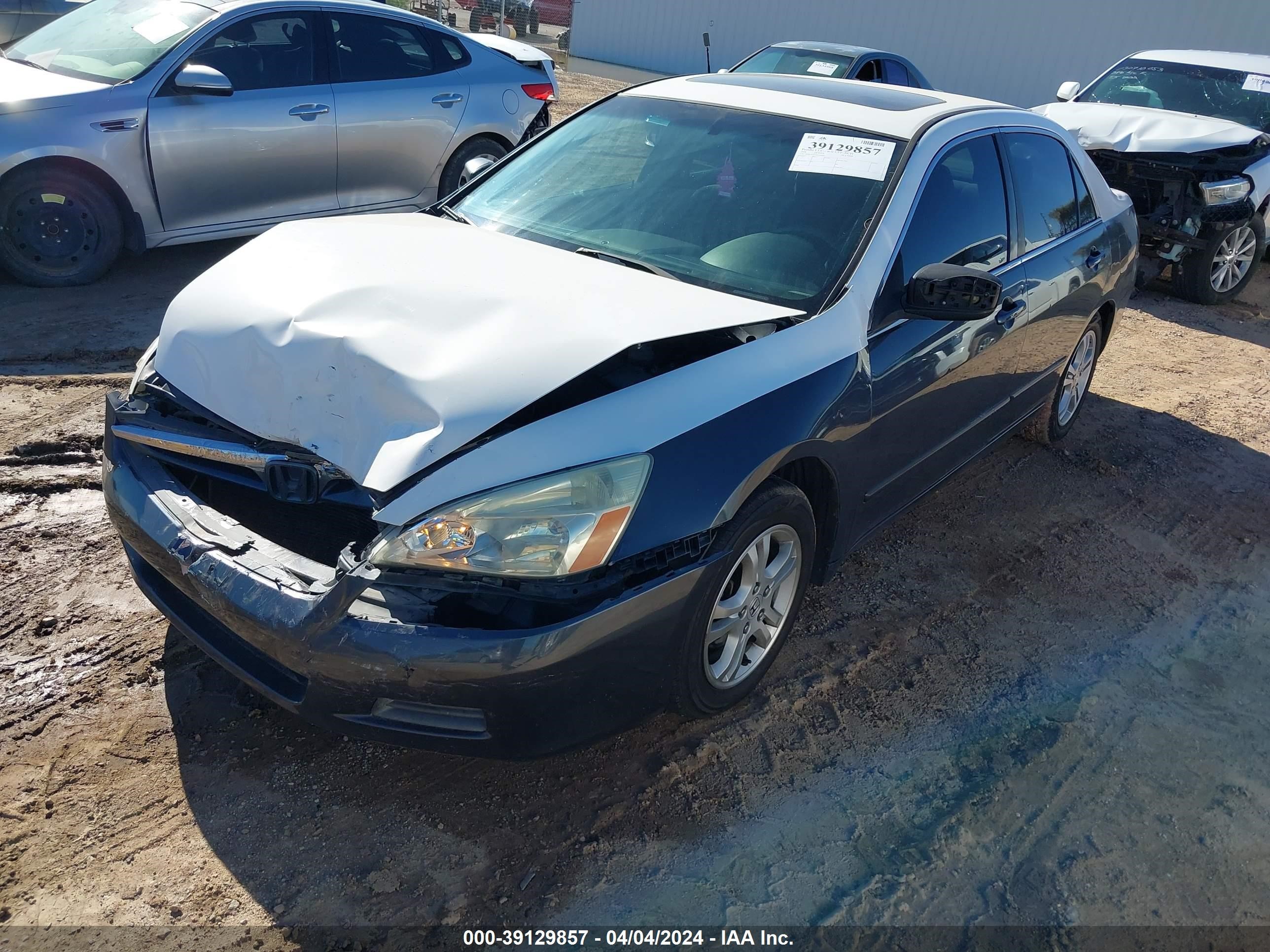 Photo 1 VIN: JHMCM56746C009406 - HONDA ACCORD 