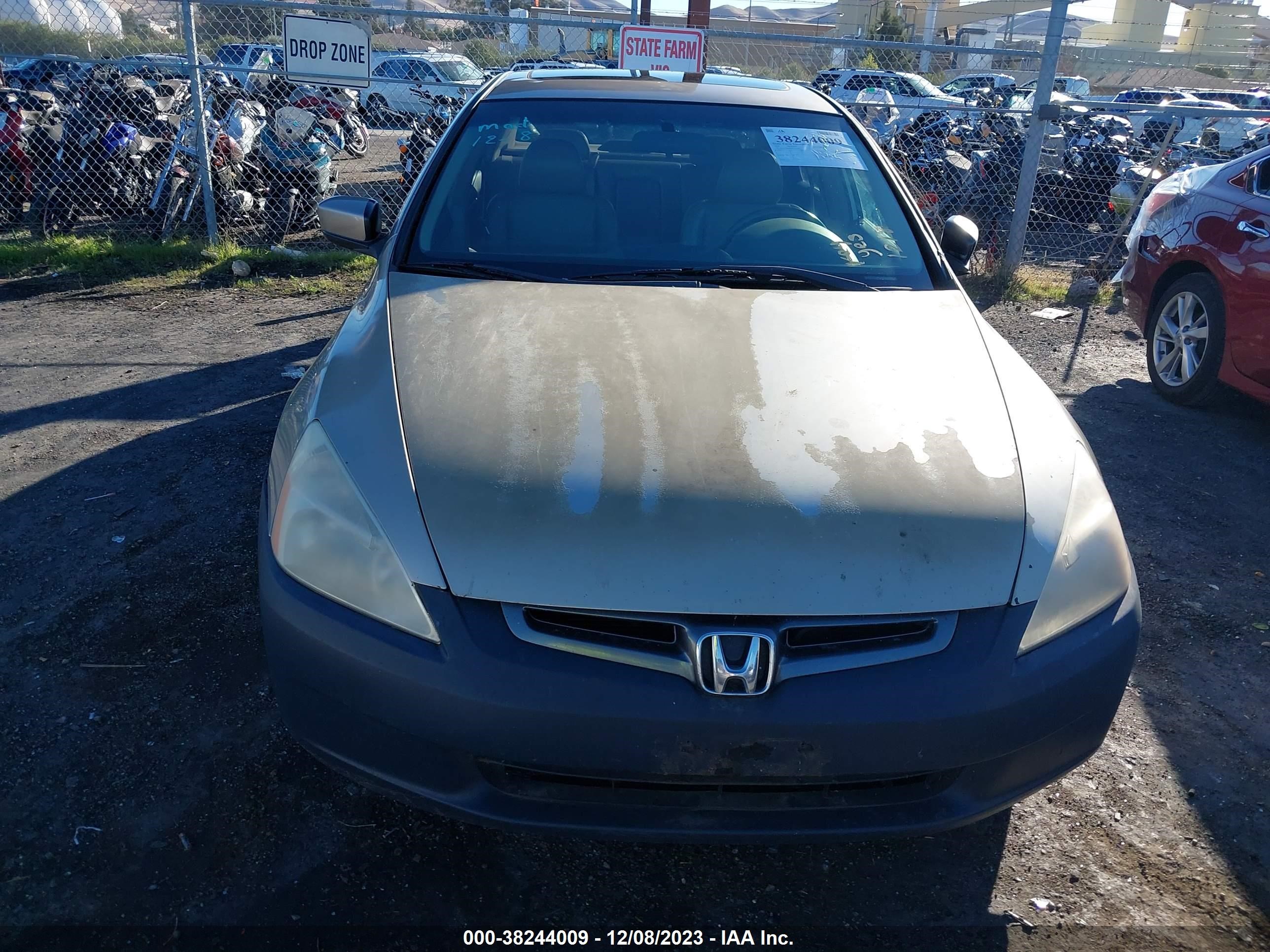 Photo 11 VIN: JHMCM56804C013636 - HONDA ACCORD 