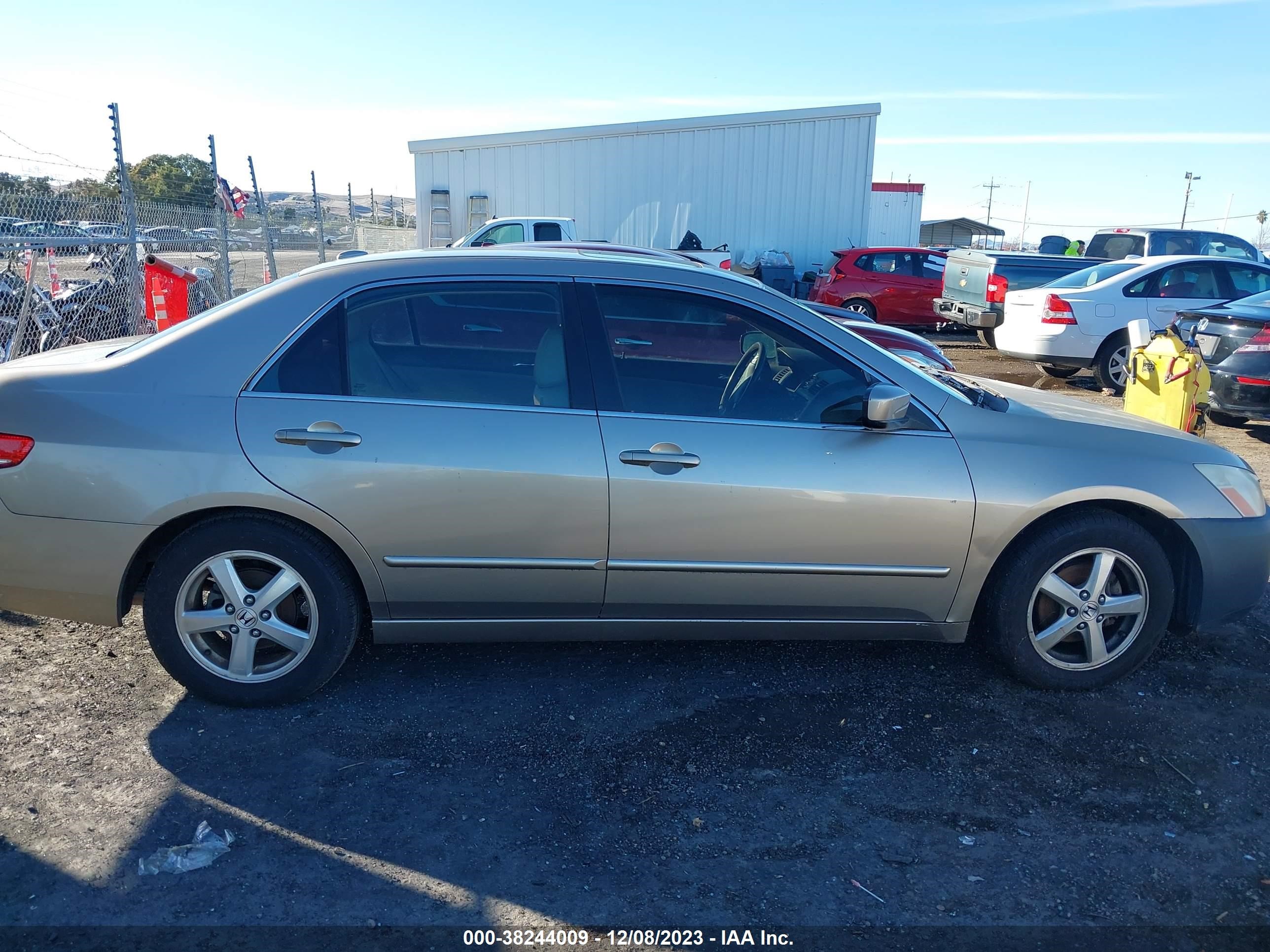 Photo 12 VIN: JHMCM56804C013636 - HONDA ACCORD 