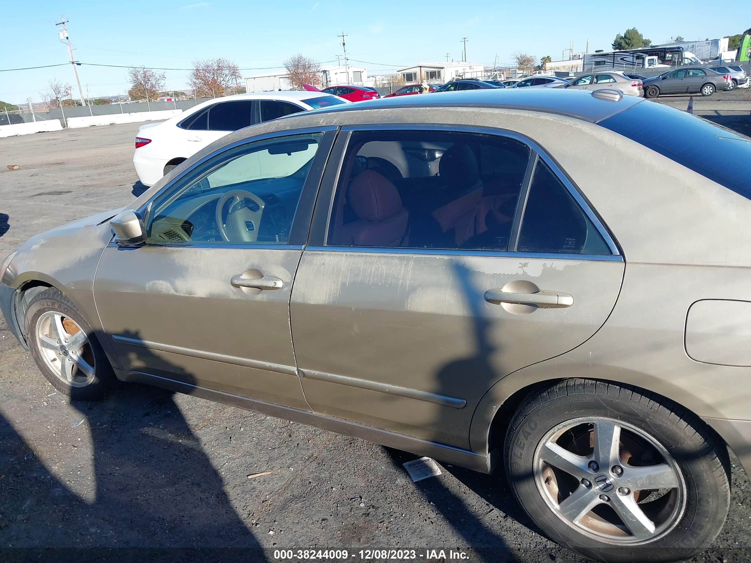 Photo 13 VIN: JHMCM56804C013636 - HONDA ACCORD 