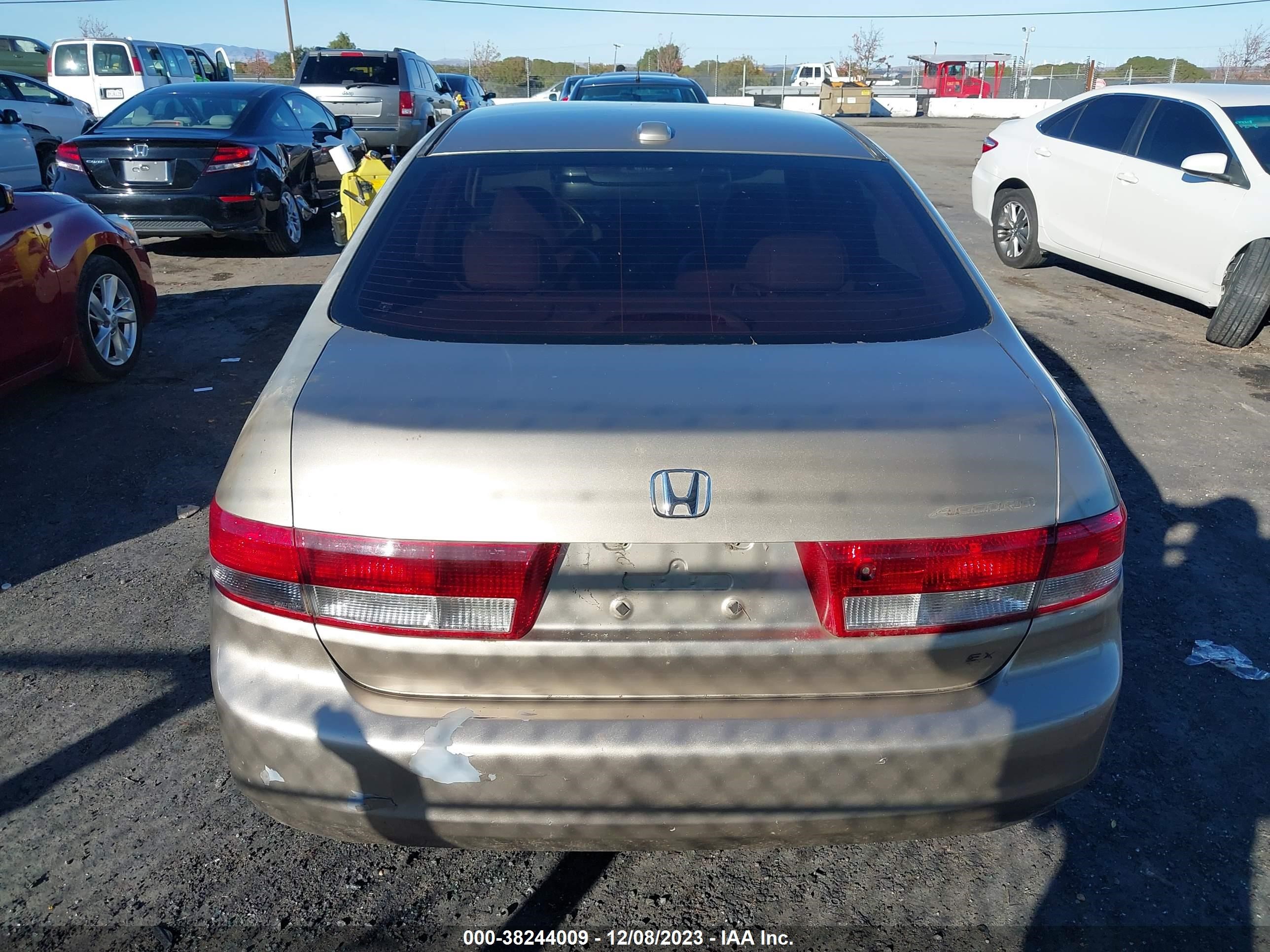 Photo 15 VIN: JHMCM56804C013636 - HONDA ACCORD 