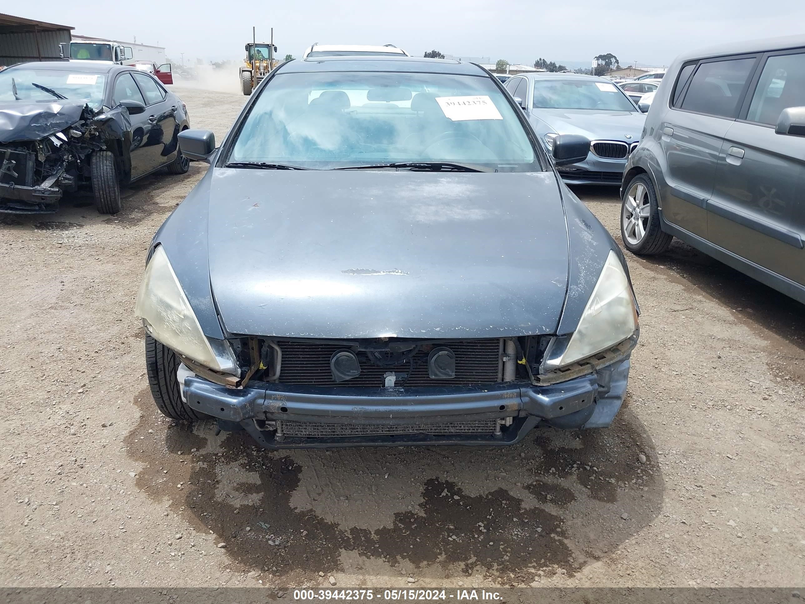 Photo 5 VIN: JHMCM56834C027885 - HONDA ACCORD 