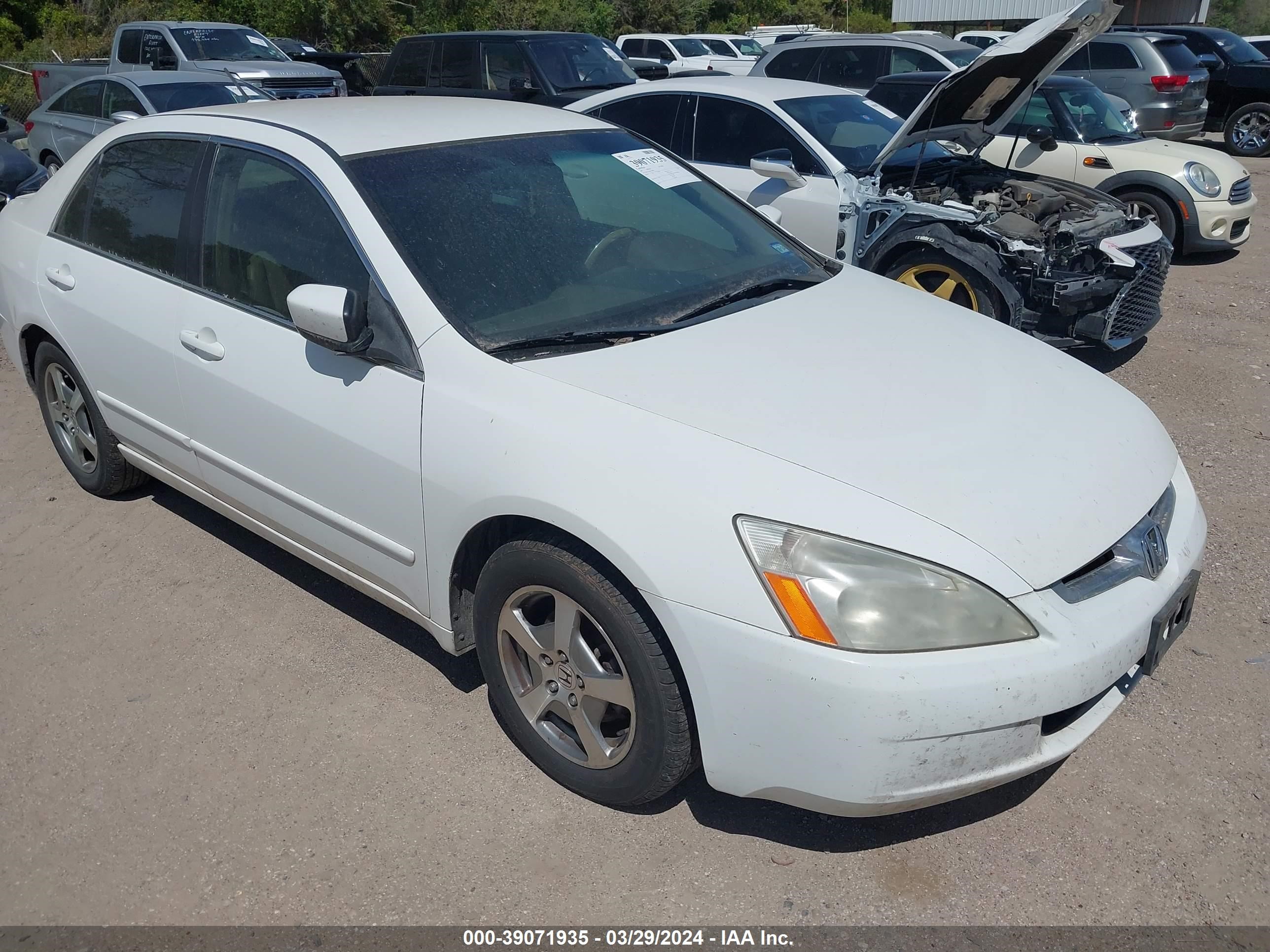 Photo 0 VIN: JHMCN36465C008876 - HONDA ACCORD 