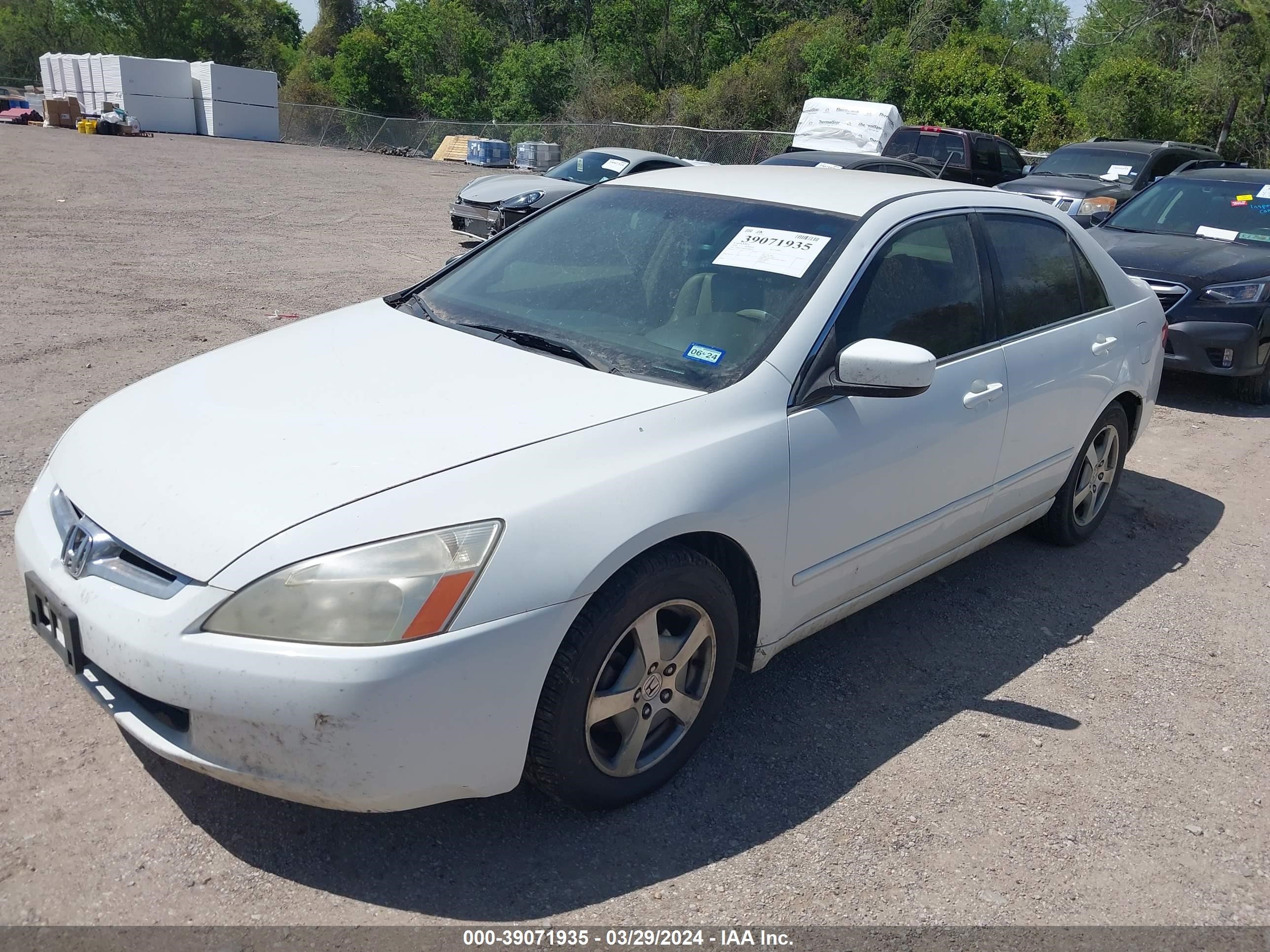 Photo 1 VIN: JHMCN36465C008876 - HONDA ACCORD 